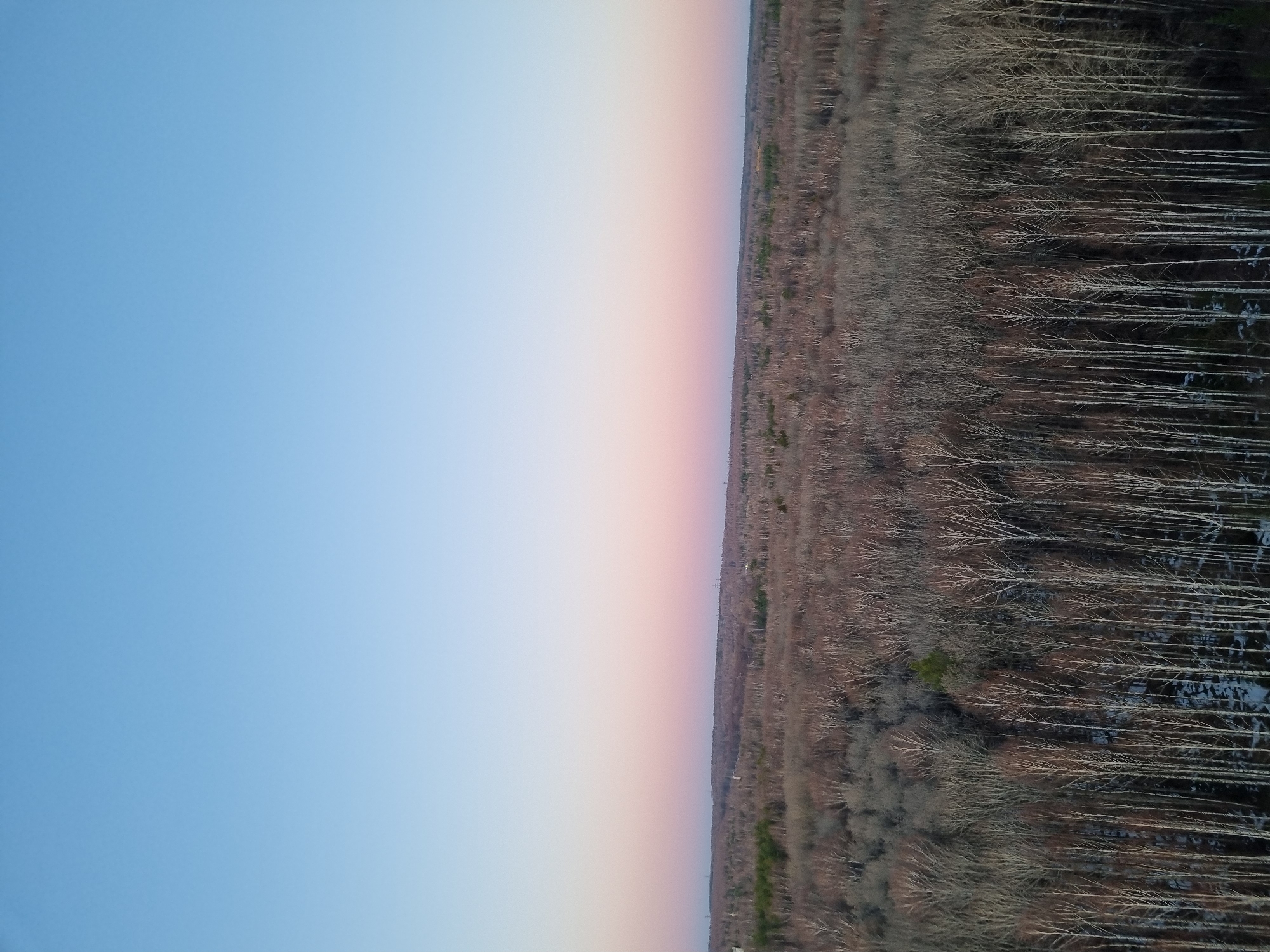 The image presents an aerial view of a rural landscape at sunset. The sky transitions from blue on the left to a pinkish-white as the sun sets. On the right, a dense forest or marshland is visible. The trees are bare, suggesting a winter or early spring season. The environment appears still and untouched. There are no visible signs of human activity such as people or structures. The location is potentially near Kemul, Russia, given the provided context. However, without further information, it is difficult to confirm the exact location with certainty.