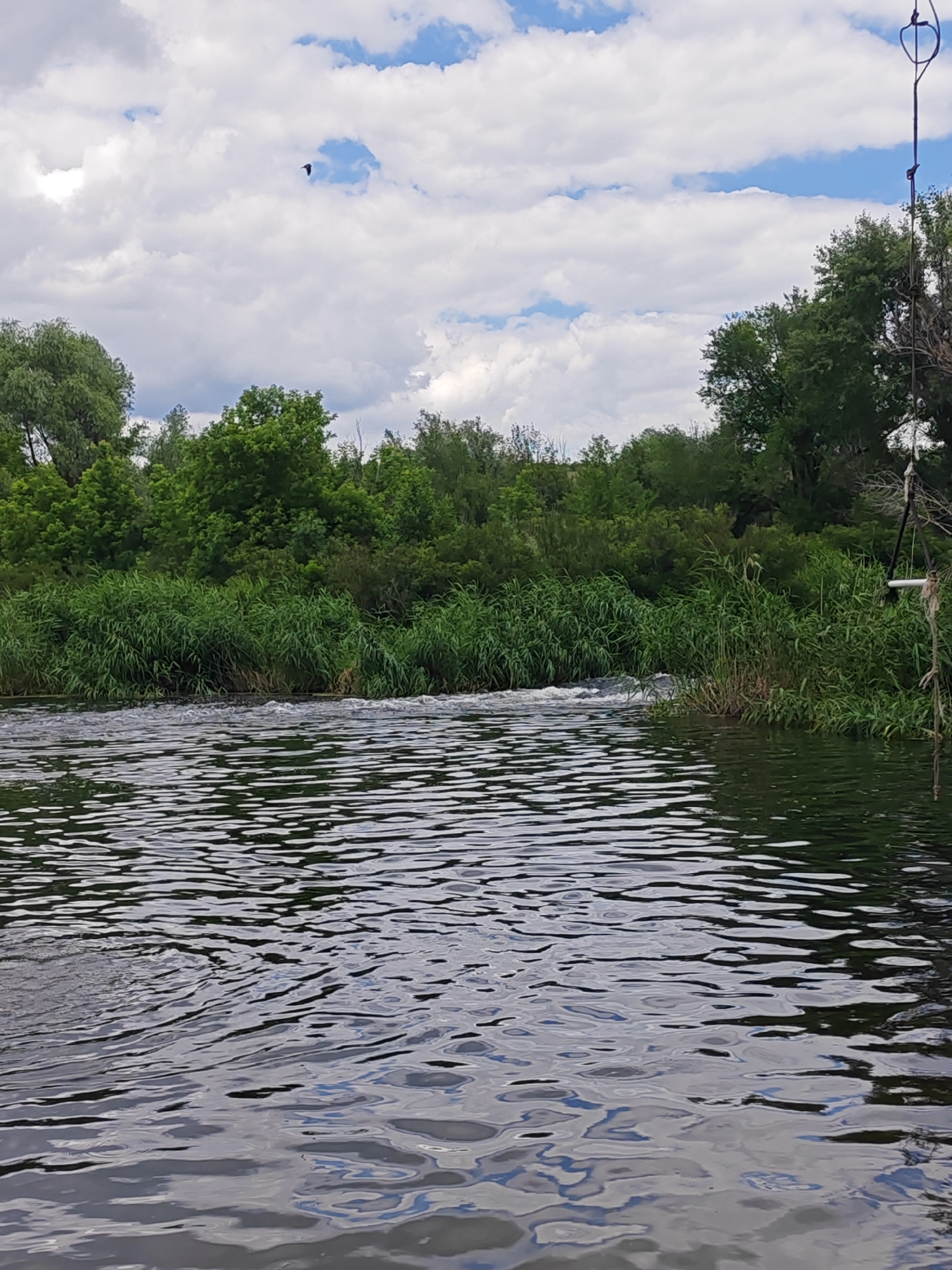 A wide shot captures a tranquil river scene under a partly cloudy sky, with lush green vegetation lining the banks. The water's surface is rippled, reflecting the sky and surrounding trees. On the right side, a rope hangs down, attached to an unseen structure, partially obscuring the trees. In the distance, a single bird is silhouetted against the clouds. The image appears to be taken from a boat, as evidenced by the water's texture and the perspective. The location is the river in Krutinskii, Russia.