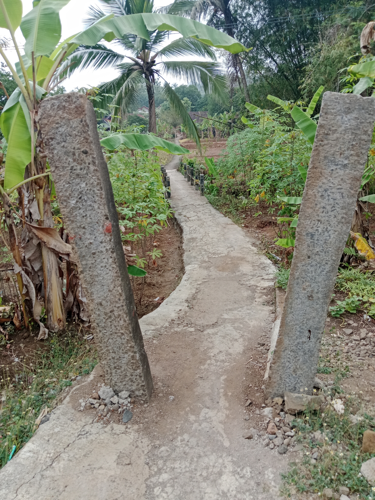 The image depicts a winding concrete path in Bojongmengger, Indonesia, flanked by lush greenery. Two weathered concrete pillars stand prominently in the foreground, one on each side of the path's entrance. Beyond these pillars, banana trees and other tropical vegetation thrive. The path leads towards a cluster of houses visible in the distance, suggesting a rural or semi-rural setting. The sky is overcast, casting a soft light over the scene. The ground surrounding the path is composed of soil and small stones.