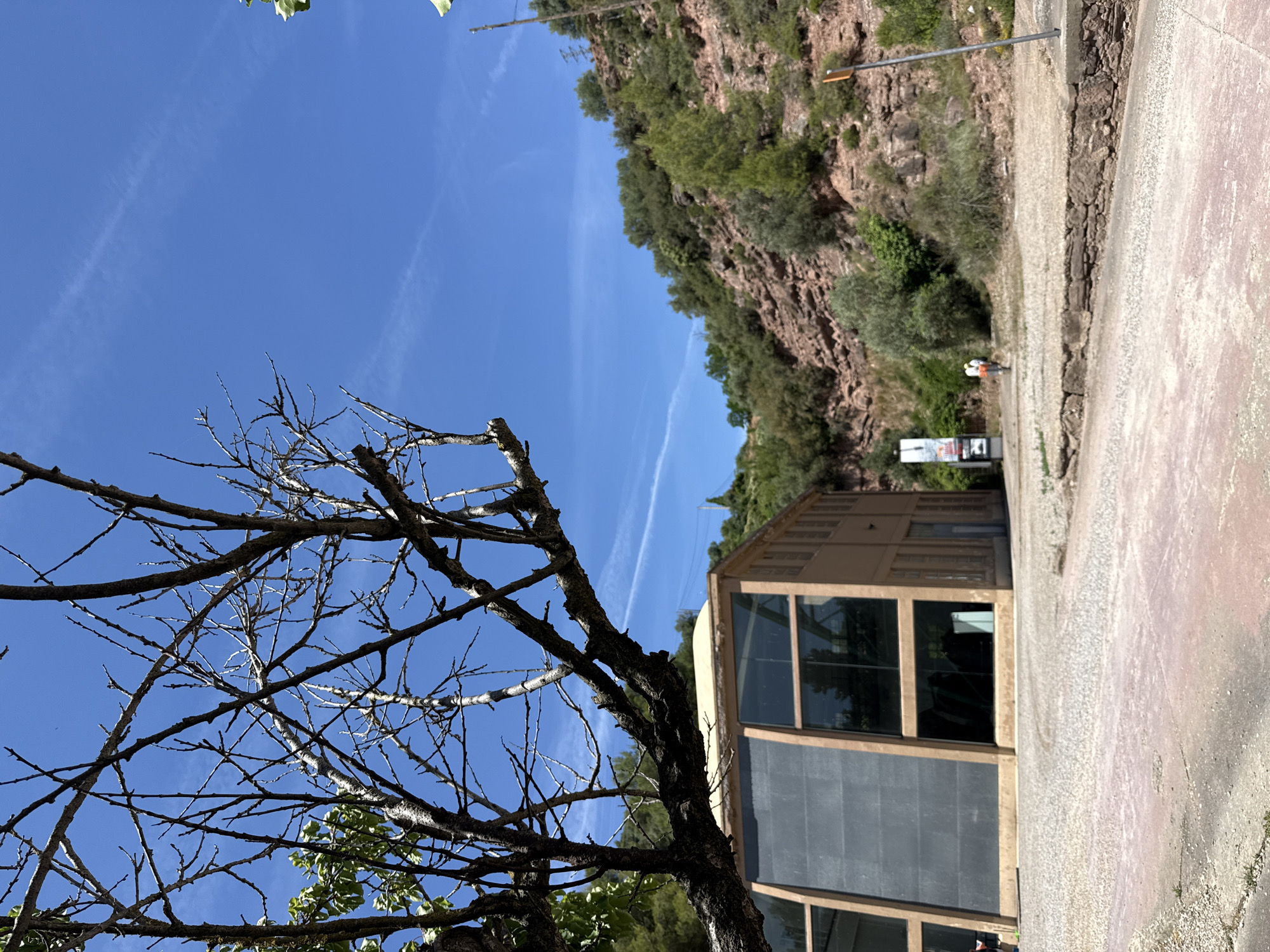 The image depicts an exterior view of a modern building with large glass windows, situated at the base of a rocky, tree-covered hillside. A bare tree with intricate branches dominates the foreground, partially obscuring the building and the sky. The building appears to be constructed with a light-colored, possibly concrete or stucco, facade, contrasting with dark, possibly tinted, glass panels. A sign is visible in front of the building, and two people are seen walking away from the viewer in the mid-ground. The environment is natural, with rugged terrain and sparse vegetation on the hillside. The sky is a clear blue with faint wispy clouds. The location is the former mine of Cardona, Spain, specifically the Museum of the Salt Mountain.