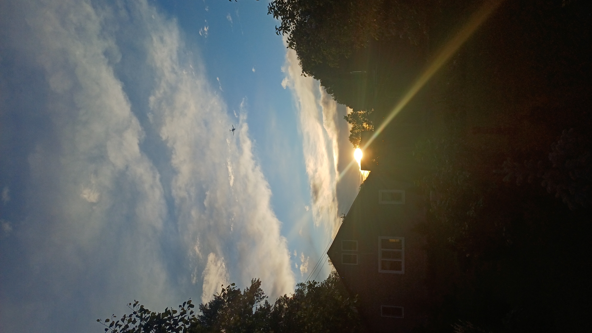 A photograph taken from a low angle shows a partially obstructed view of the sky, a building, and trees. The sky is blue with streaks of white clouds and a small plane visible. Sunlight is filtering through the trees. A two-story brick building is visible, with multiple white-framed windows. The lower portion of the image contains trees and foliage. The location is Timokhovo, Russia.