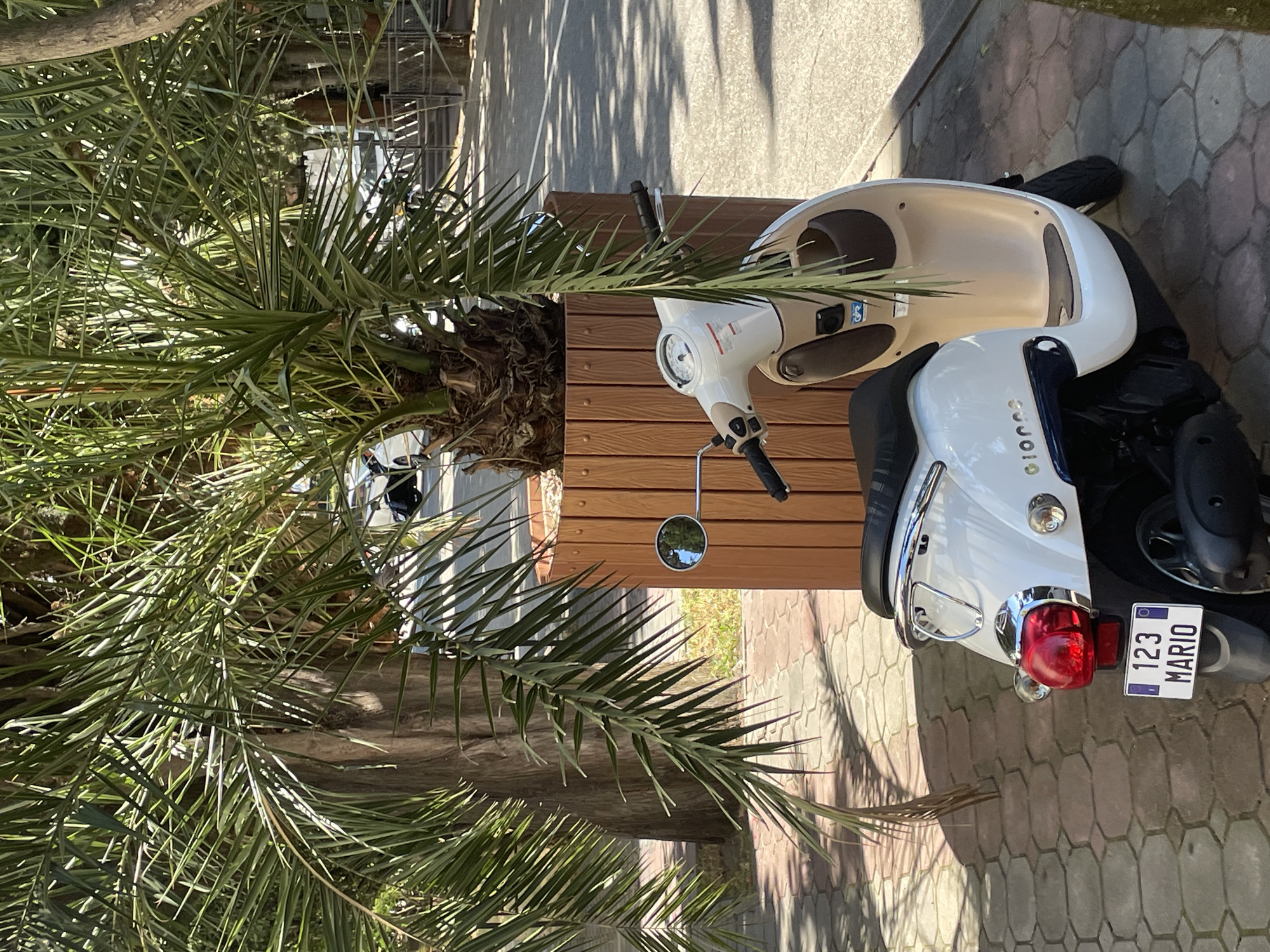 A white and beige scooter is parked on a sidewalk paved with hexagonal stones. The scooter is positioned to the right of a large planter containing a palm tree. The planter is made of vertical wooden slats. The scooter has a license plate with the text "123 MARIO". Behind the planter and scooter, there is a road with parked cars and a street light. The scene appears to be in a park or pedestrian area, possibly in a city like Sochi, Russia, given the presence of palm trees and the typical sidewalk paving. The lighting suggests it is daytime, with sunlight casting shadows on the ground. There are no people visible in the image.