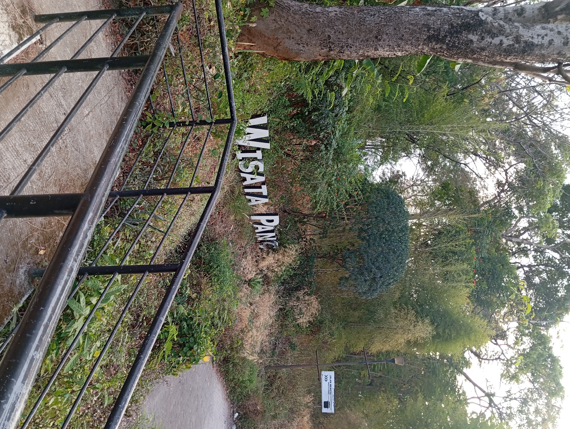 The image shows a sign that reads "WISATA PANCA". This sign is located in the city of Ketanireng, Indonesia. The sign is made of white letters and is mounted on a dark pole. Behind the sign, there is a lush green forest with tall trees and bamboo plants. A paved pathway is visible to the right of the sign, and a black metal railing is in the foreground. The sky is visible at the top of the image and appears to be overcast. The lighting suggests it is either early morning or late afternoon. There are no people visible in the image.
