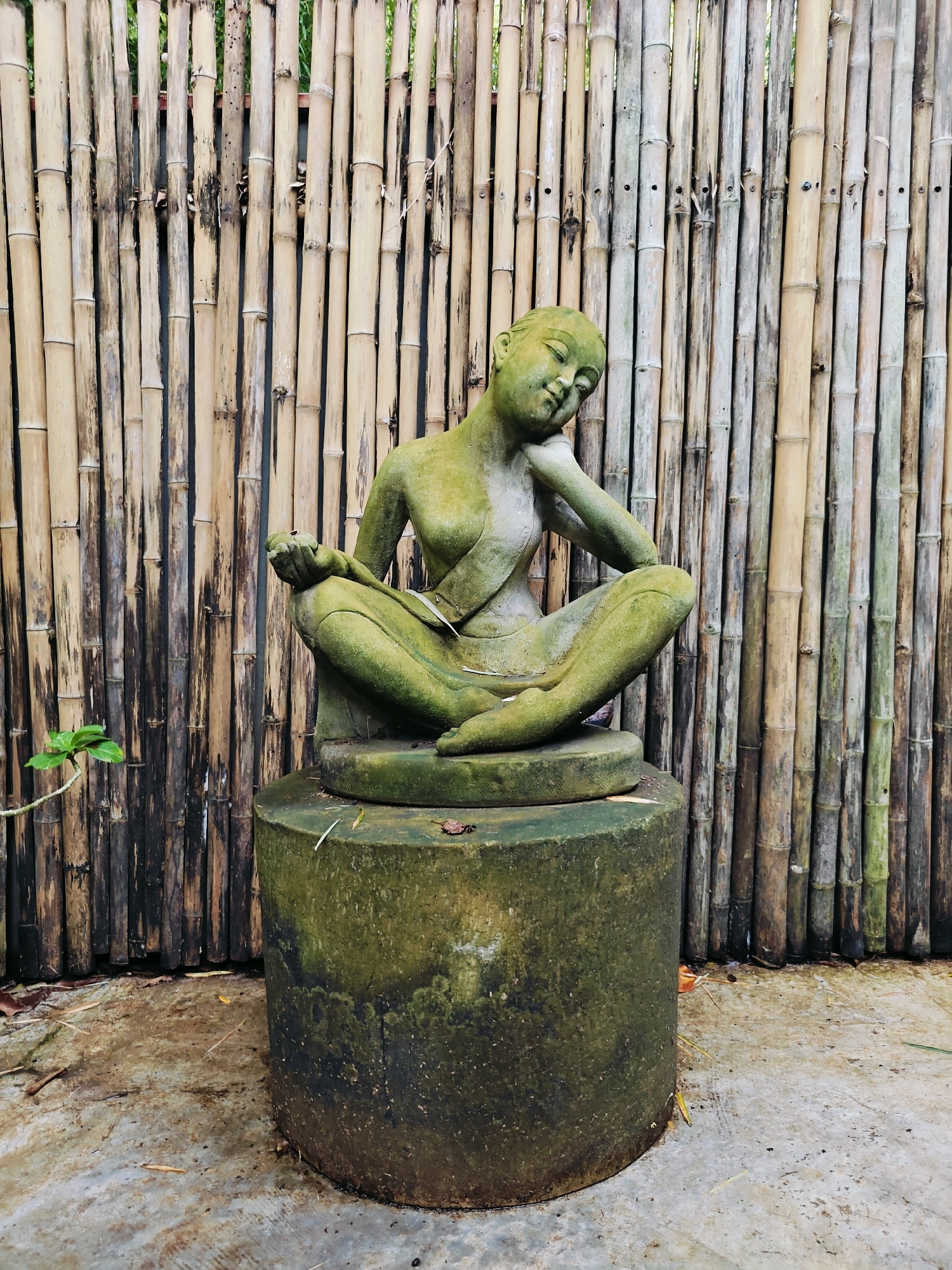 A stone sculpture of a woman in a meditating pose sits on a cylindrical stone pedestal in front of a bamboo fence. The sculpture is green with moss and lichen growth, indicating it is outdoors and has been exposed to the elements. The woman's eyes are closed, and her head is tilted, resting on her arm. Her legs are crossed in a lotus position, and her hands are resting in her lap. The bamboo fence behind the sculpture is made of vertical bamboo poles. The ground in front of the pedestal is concrete, with some scattered leaves and debris. The scene is located in Mu Si, Thailand.