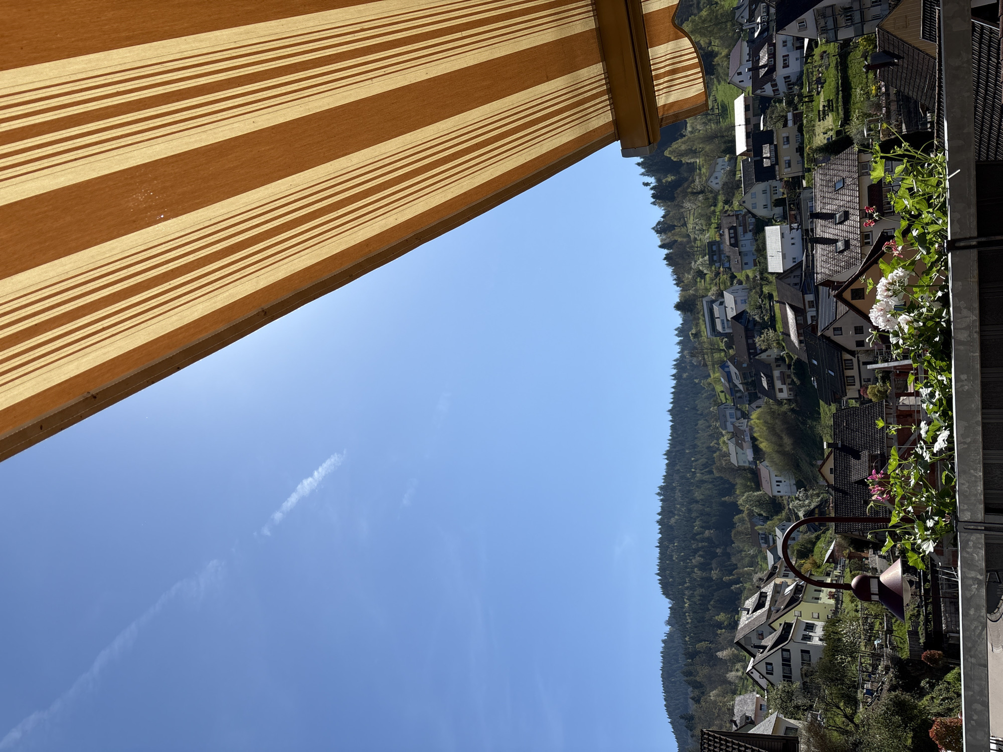 The image depicts a view from a balcony or window in Forbach, Germany, under a striped awning. The foreground features part of a balcony or window frame with flower boxes filled with plants. Beyond the frame, a neighborhood is visible, nestled among a wooded area with houses and residential buildings. The sky is clear and blue, with a faint contrail visible. The location is Forbach, Germany, as evidenced by the architecture and landscape typical of the region.