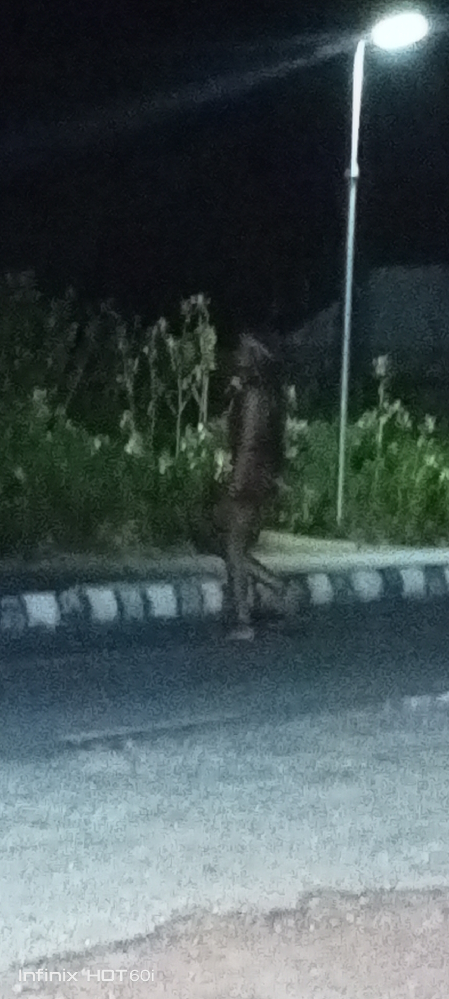 An individual stands on a road in what appears to be Adankolo, Nigeria, at night. A street lamp illuminates the area, casting a glow on the person and the surrounding vegetation. The road has a striped curb. The person is standing adjacent to the curb on the road.