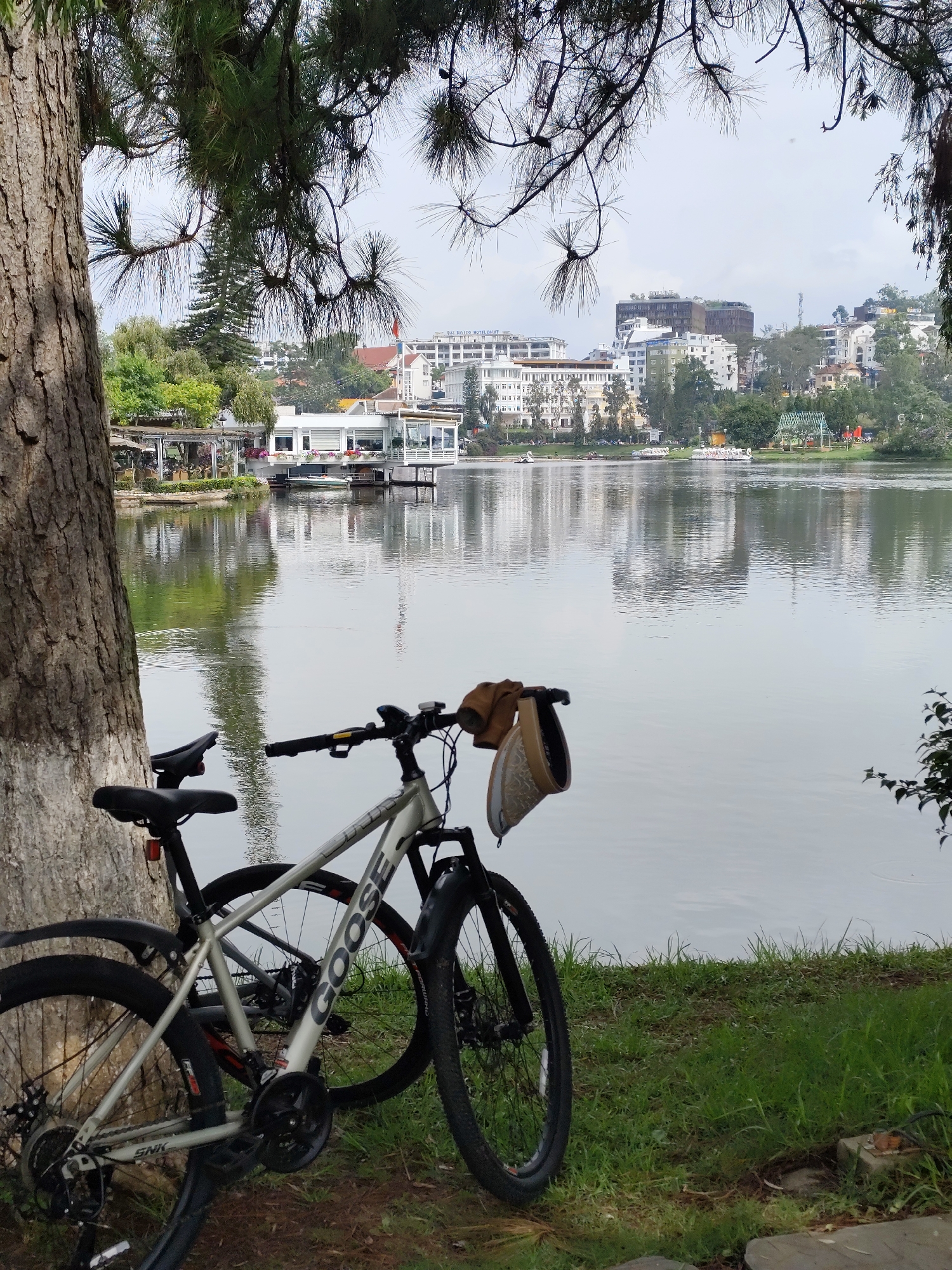 A light grey mountain bike, featuring "GOOSE" prominently on its frame and "SNK" on its chainstay, leans against the robust trunk of a large tree on the left side of the image. A brown visor or hat hangs from its handlebars. Overhead, the tree's branches, adorned with long pine needles, extend across the top of the frame.
The bike rests on a grassy bank overlooking a placid lake, its surface reflecting the overcast sky and the surrounding environment. Across the water, a bustling cityscape unfolds on a sloped hillside, comprising various buildings, some appearing to be hotels or residential structures. Faintly visible on one distant building is the text "BAS DIVUCO HOTEL," and a red flag flies atop another.
Closer to the foreground, on the left side of the lake, a modern white building with large windows and flower boxes extends over the water, likely a restaurant or cafe. Numerous small boats, including distinctive white swan-shaped pedal boats, are scattered across the lake, and a green covered structure can be seen on the far shore. The scene depicts a serene and leisurely atmosphere, indicative of a recreational area like Xuân Hương Lake in Da Lat, Vietnam, under a cloudy sky. The presence of the bicycle and boats suggests outdoor leisure activities.