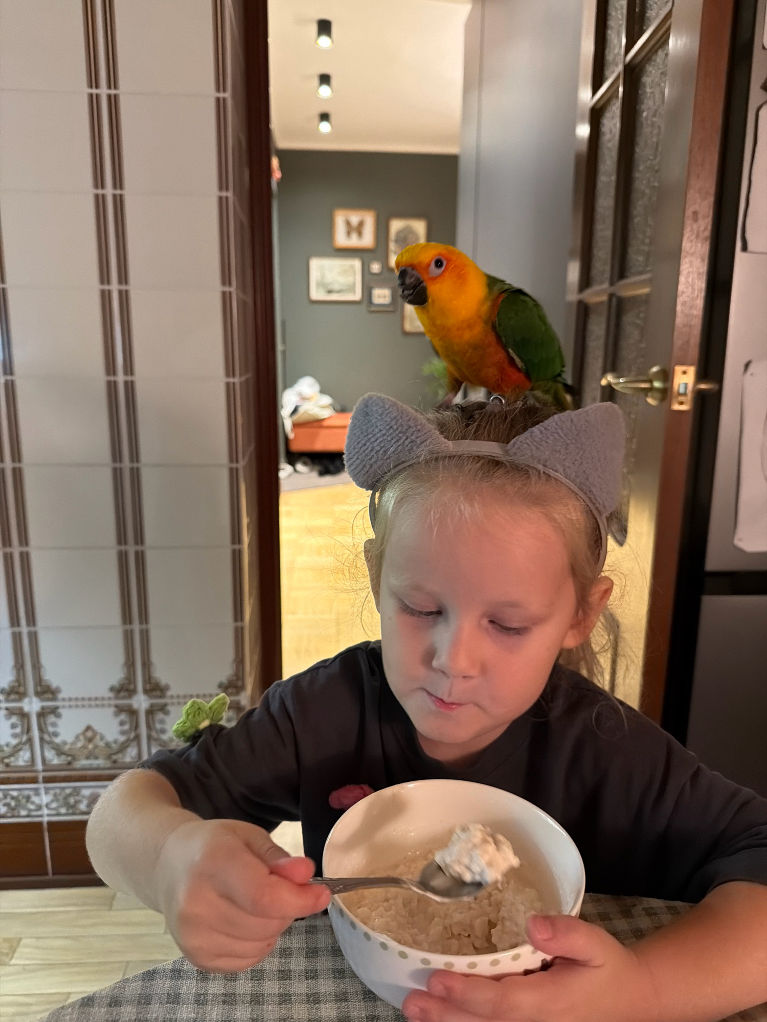 A young Caucasian girl with blonde hair, wearing a dark t-shirt and a grey headband with cat ears, is seated at a table with a bowl of food. She is holding a spoon and appears to be eating. Perched on her head is a vibrantly colored parrot with orange, yellow, green, and red plumage. The background shows a doorway leading into a room with wooden floors and framed pictures on the wall. The scene appears to be indoors.