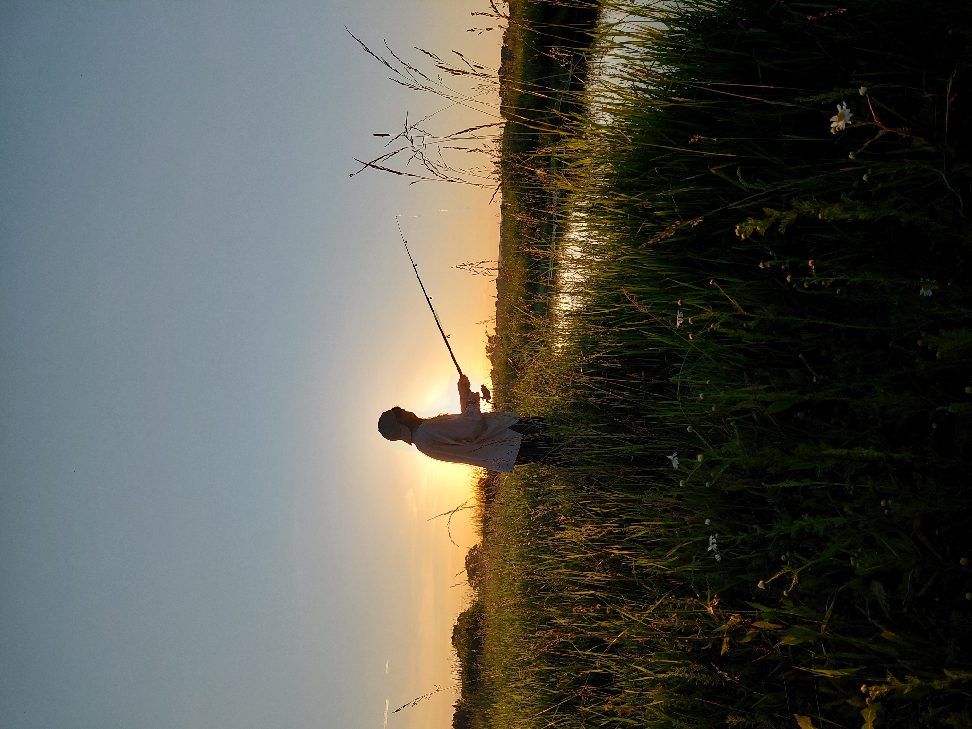 A person is silhouetted against a bright sunset while fishing in a grassy field near a body of water. The person, wearing a cap and long-sleeved shirt, stands in tall green grass holding a fishing rod, with the line extending towards the water. The sun is low on the horizon, casting a warm glow and creating long shadows. Trees and foliage are visible in the distance. The overall scene depicts a peaceful, natural setting during a sunset.