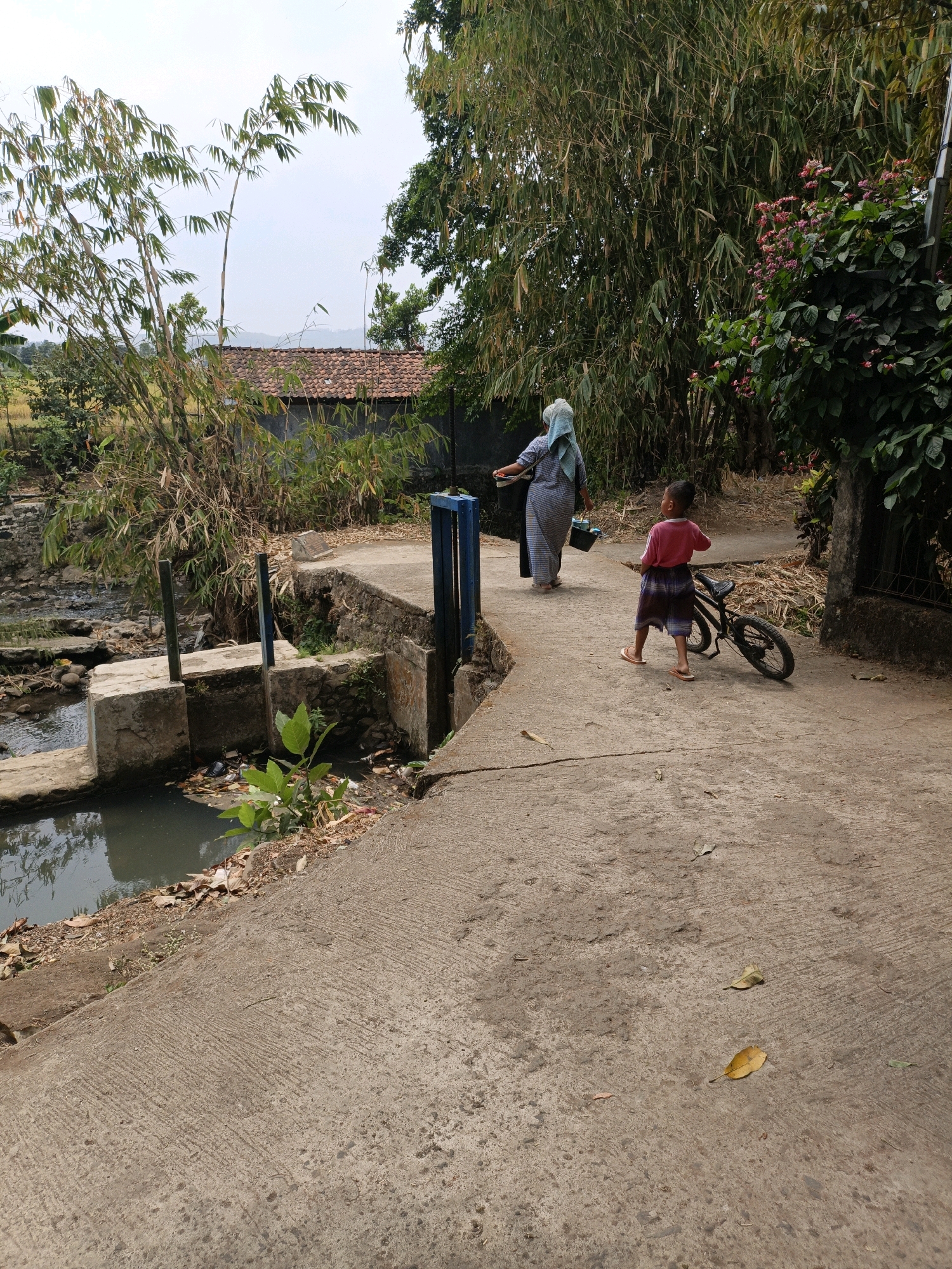 The image depicts a concrete path in a rural area of Mangli, Indonesia, with a small child and an adult walking away from the camera. The child, wearing a pink shirt and checkered shorts, walks alongside a small bicycle. The adult, dressed in a patterned tunic and headscarf, carries two buckets. The path runs alongside a small, murky body of water with some debris and vegetation. In the background, there are dense bamboo trees and other foliage, with a glimpse of a tiled roof and a house. The sky is overcast.