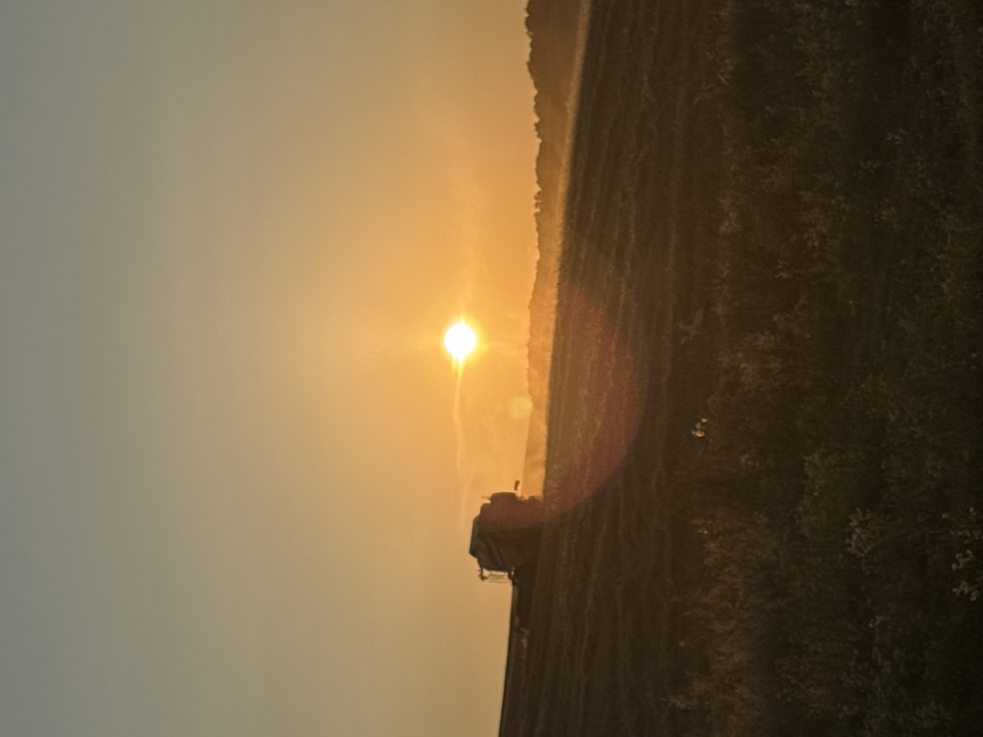A combine harvester is visible in the middle ground of a field at sunset. The sun is low in the sky, casting a warm, orange glow over the scene. The field appears to be cultivated with rows, and there is some dust or haze in the air, likely kicked up by the combine. The horizon is marked by a line of trees. The foreground is a darker, grassy area. The image is taken from a slightly elevated perspective, looking down at the field.