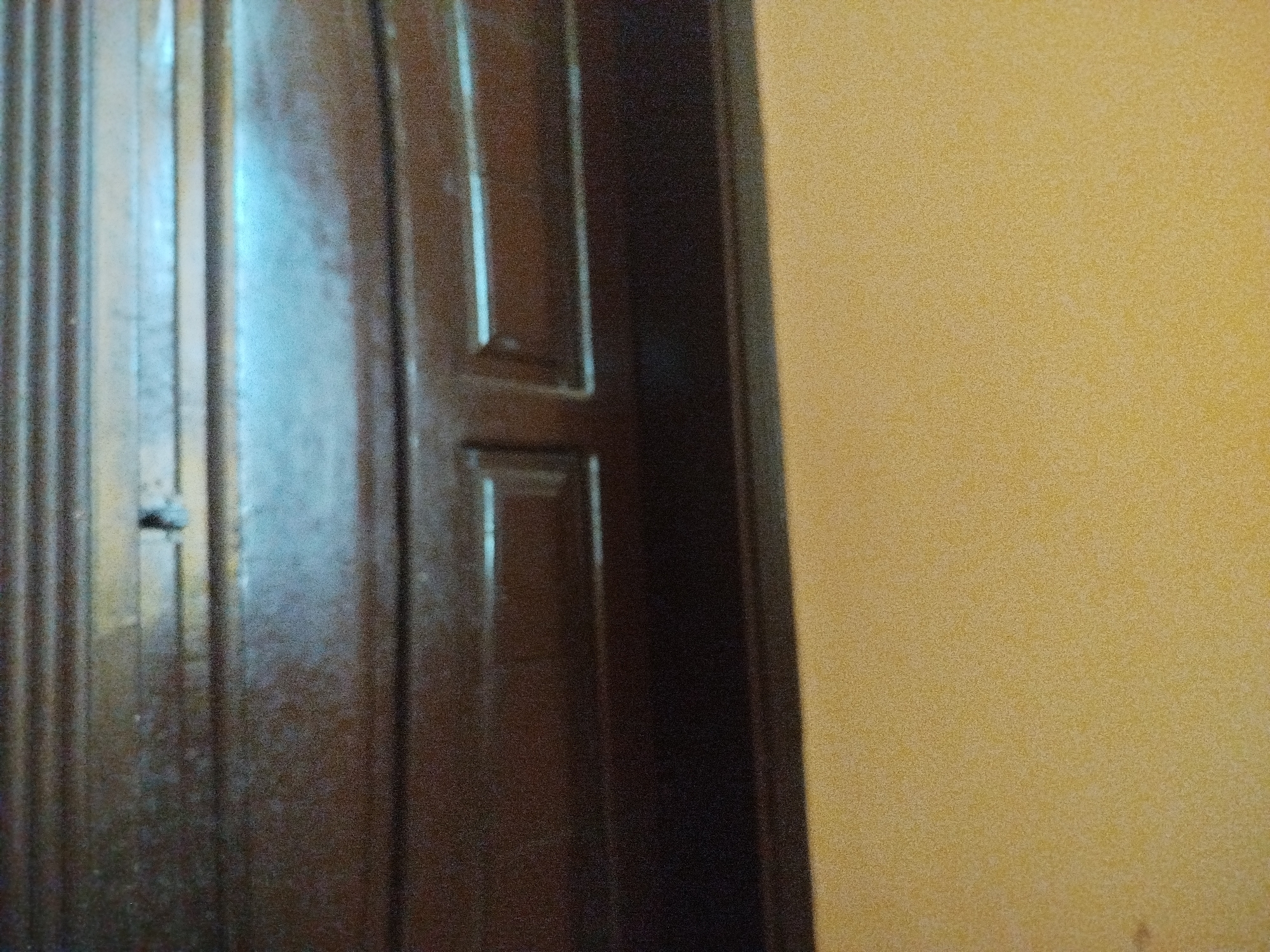 The image shows a close-up view of a dark brown wooden door with vertical paneling, positioned next to a yellow wall. A small, dark object is visible on the left-hand side of the door, possibly a latch or a fixture. The lighting suggests an indoor environment, with some light reflecting off the door's surface. The overall scene appears to be a doorway or entrance. No specific location in Lassan, Pakistan can be determined from the visual information provided.