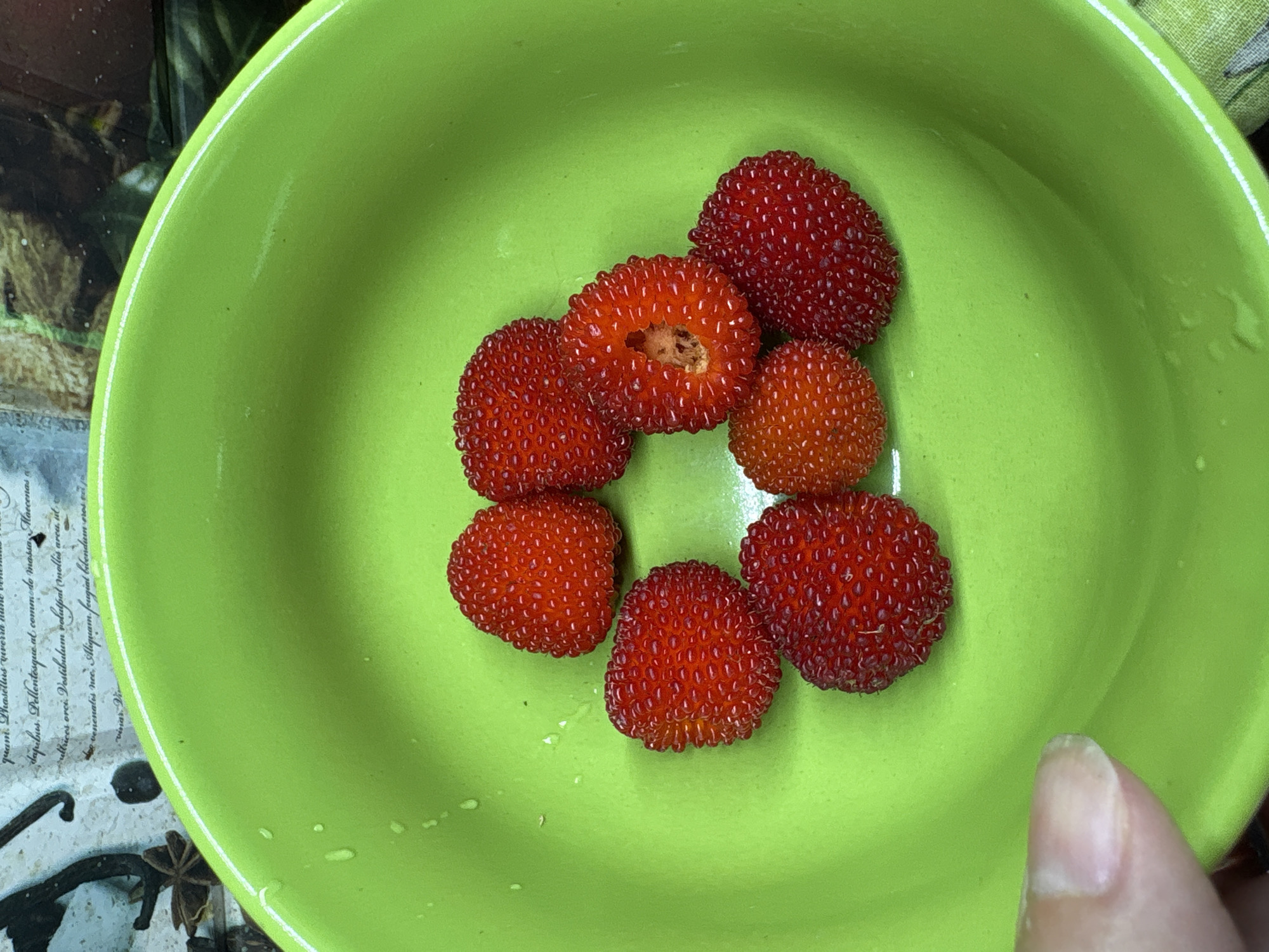 A top-down shot shows seven small, bumpy, red fruits arranged in a bright green ceramic bowl. The fruits are similar in appearance to raspberries or mulberries, with one fruit in the center appearing to be cut in half, revealing its inner texture. A portion of a human finger is visible in the bottom left corner of the image, appearing to be touching the rim of the bowl. The background of the image shows a textured surface with what appears to be botanical illustrations and spices, possibly representing a kitchen or pantry setting. The scene is well-lit, emphasizing the vibrant colors of the fruits and bowl. The provided information about the location in Ветлужский, Russia, is not directly discernible from the image itself.