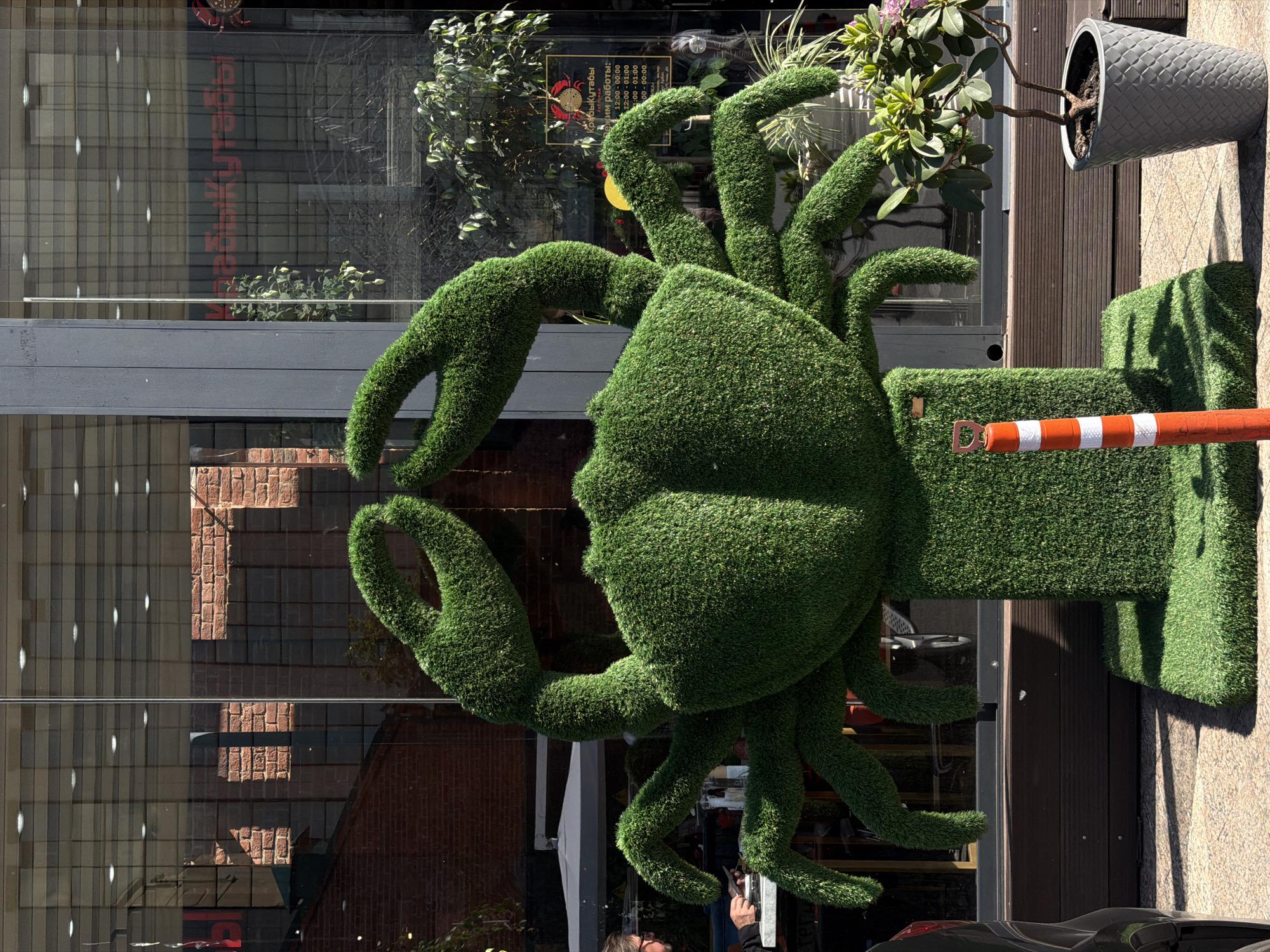 This outdoor photograph, taken in Moscow, Russia, captures a vibrant green topiary sculpture shaped like a crab, positioned prominently in front of a modern building. The scene is illuminated by bright daylight, casting clear shadows and suggesting a sunny day.
The large crab topiary, covered in artificial grass, features distinct claws and multiple legs, resting on a rectangular base also made of turf. Behind the sculpture, a building with extensive glass windows reflects the surroundings, showing brickwork from an opposite structure, trees, and parts of the sky. Through the glass, the interior of a establishment is faintly visible.
On the building's facade, reflected text reads "Крабы кутабы" (Crabs Kutaby), likely indicating a restaurant or cafe. Below this, operating hours are listed as "Режим работы:" (Operating hours:) followed by specific times: "12:00-00:00", "12:00-01:00", "1:00-01:00", and "00-00:00".
To the right of the crab topiary, a gray, textured planter containing a small tree or bush is mounted on a wall. Below it, an orange and white striped barrier or bollard is partially visible. A small portion of a person's head and shoulders is seen in the bottom left corner, obscured by one of the crab's legs. The overall setting appears to be a lively urban street or pedestrian area.