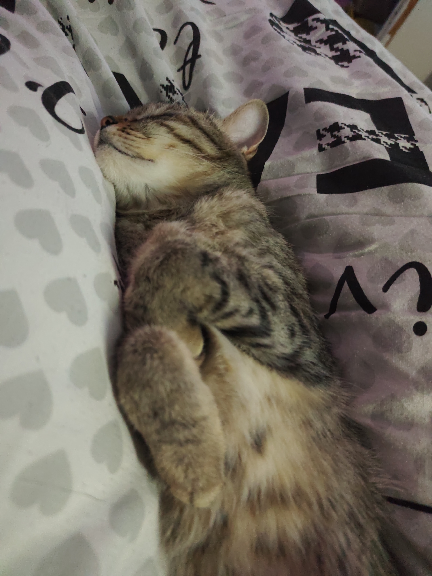 A tabby cat sleeps on a patterned bed. The cat is curled up on its side with its paws tucked in. The bedsheets have a white background with grey hearts and black question mark designs. The location is unknown.