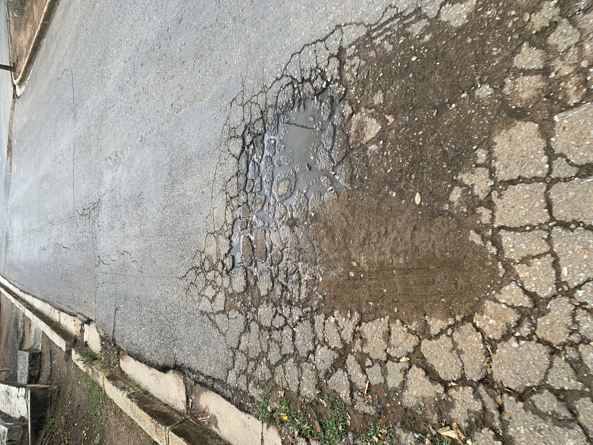 The image presents a top-down, slightly angled view of a severely deteriorated asphalt road. The primary subject is a large, irregular area of pavement failure, prominently featuring a significant pothole filled with standing water, positioned towards the center-right of the frame. Surrounding this water-filled depression, and extending broadly across the right side of the road, the asphalt exhibits extensive "alligator" cracking, indicating advanced structural damage. This cracked pavement transitions into a muddy, wet dirt patch on the far right, also showing signs of erosion and some smaller cracks.
The asphalt itself is a muted grey, revealing its coarse texture, especially in the less damaged areas visible on the left. Numerous finer cracks are also visible elsewhere on the road surface, suggesting widespread wear. Along the entire left edge of the road, a concrete curb runs parallel, appearing somewhat worn. Adjacent to the curb, a system of concrete blocks or a drainage channel is visible, with small patches of green grass and some dry leaves growing in the soil next to it and within the muddy areas on the right.
The scene is set outdoors during the daytime, with clear but diffuse lighting that creates soft shadows, indicating it is not midday. The standing water in the pothole and the muddy ground suggest recent rainfall or a generally damp environment. No individuals or vehicles are present, and there is no visible text. The image captures a static scene of neglected infrastructure, consistent with an urban or suburban street in La Tagua, Venezuela.