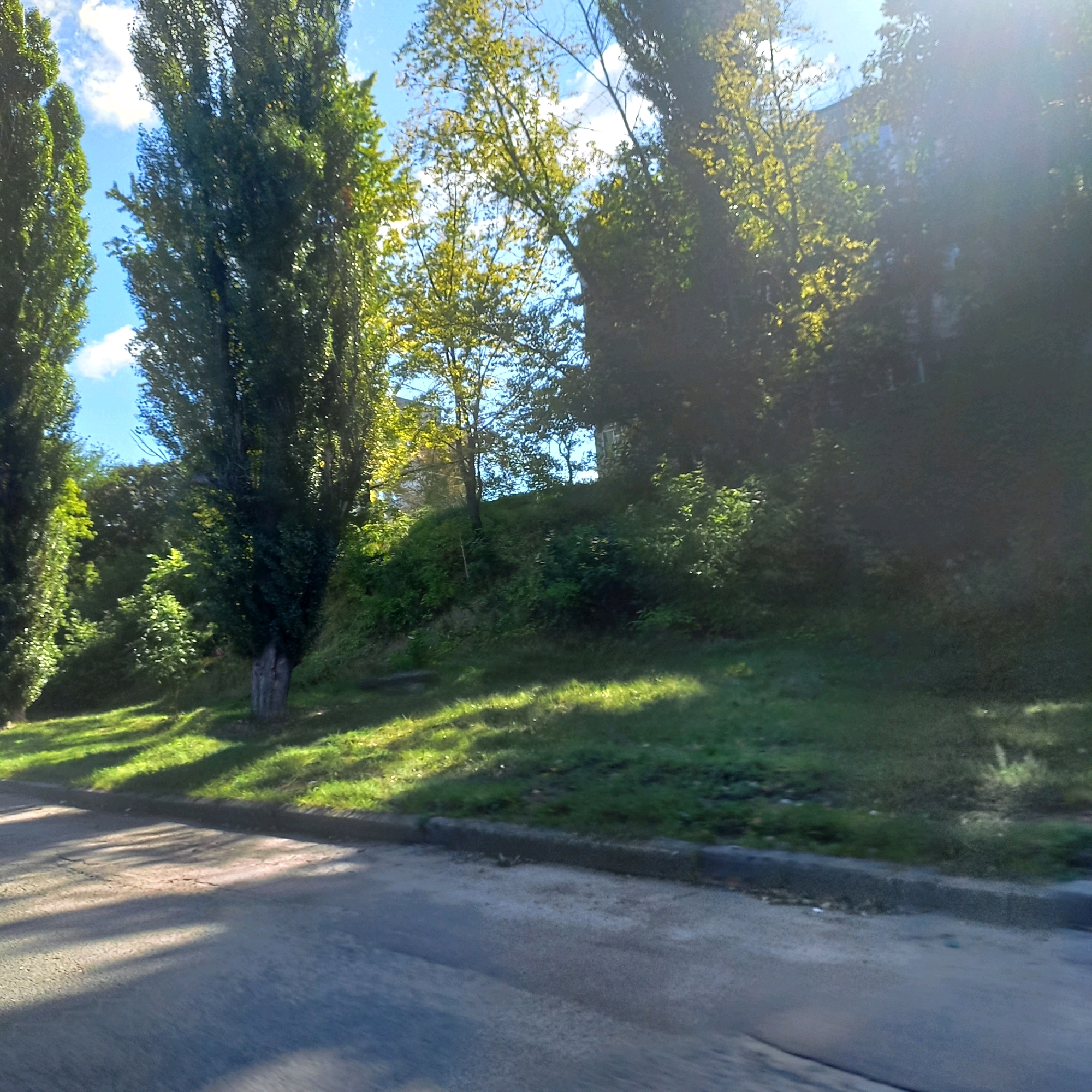 The image captures a sun-dappled scene of a tree-lined street with a grassy embankment. Tall, slender trees with dense green foliage dominate the left and central portions of the frame, with their shadows stretching across the asphalt road in the foreground. A building, partially obscured by trees and sunlight, is visible on the right side of the image, suggesting an urban or suburban setting. The sky is partly cloudy with patches of blue. The overall impression is one of a quiet, leafy street in Kropyvnytskyi, Ukraine, likely during the daytime.