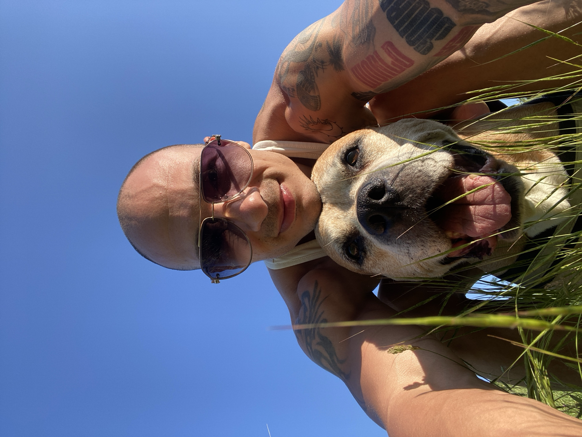 A low-angle, selfie-style photograph captures a man and a dog in a grassy outdoor environment under a clear blue sky. The man, with a shaved head, is wearing sunglasses and a white tank top. He has muscular arms with visible tattoos, including tribal designs and lettering on his right arm. He is positioned behind the dog, with his head resting on the dog's.
The dog, a tan and white pit bull type breed, is in the foreground, looking directly at the camera with its mouth open and tongue out, appearing happy and panting. The dog is partially obscured by tall green grass in the foreground. The sunlight casts shadows on the man's arm and the grass. The background is a solid expanse of bright blue sky. The scene appears to be a park or open field. There is no discernible information in the image that would indicate a specific location in the city of Pleven, Bulgaria.