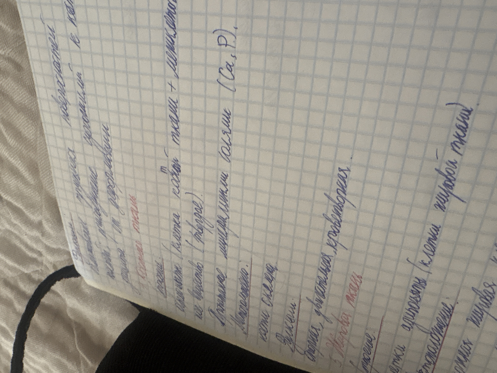 The image displays a handwritten notebook with blue ink on graph paper. The content appears to be lecture notes or study material, with headings and bullet points. Some phrases visible include "ткани", "клетки", and scientific terms. There are no people or indications of a specific location in Georgiyevsk, Russia. The notebook is lying on a textured fabric surface, possibly a bed or sofa, with a black strap or band visible in the background.