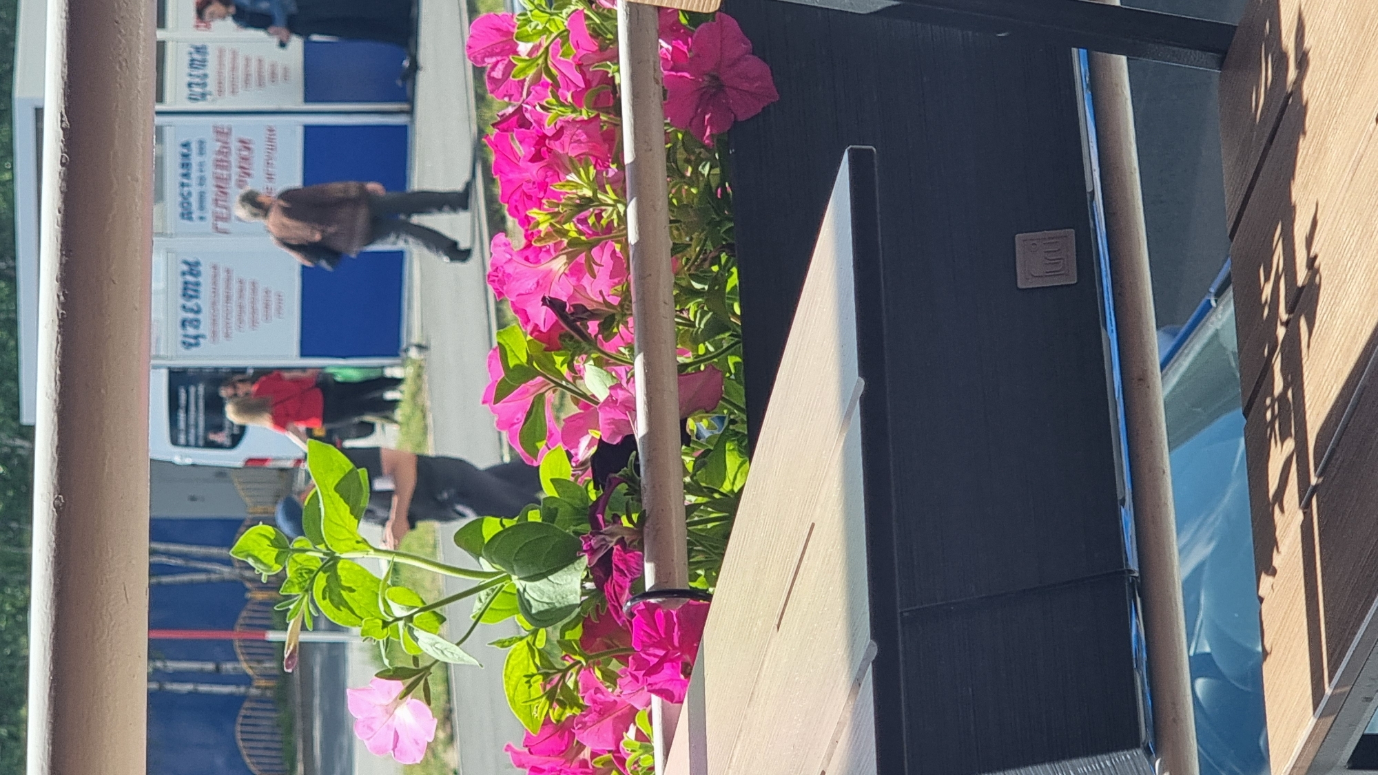 The image depicts a street scene in the city of Megion, Russia, with a focus on a planter box filled with bright pink petunias in the foreground. Behind the flowers, a wooden table with a dark-colored planter box is visible. In the background, several people are walking along a paved area in front of a building with blue and white panels. Signs on the building are partially visible, with some text in Cyrillic script, including "ДОСТАВКА" (delivery) and "ЦВЕТЫ" (flowers). The lighting suggests it is a sunny day. A white van is parked to the left, and a light blue vehicle is partially visible beneath the table. The overall impression is a commercial area with outdoor seating and flower decorations.
