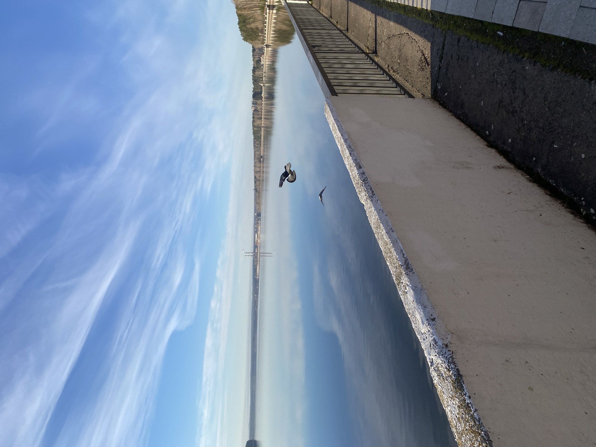 The image displays a serene outdoor scene, likely by a large body of water in Chaikovsky, Russia. The sky, occupying the upper portion, is a clear, vibrant blue, adorned with delicate, wispy white cirrus clouds.
The central feature is a wide expanse of water, exceptionally calm and still, perfectly mirroring the sky and the distant landscape. Two birds are captured in mid-flight over the water: one larger, dark-feathered bird with outstretched wings is closer to the viewer, while a smaller, darker bird flies further in the distance.
Along the right side of the frame, a concrete embankment or pier extends into the background. Its surface is textured and shows signs of weathering, with some moss or lichen visible near the water's edge. A dark metal railing runs parallel to the water along the top edge of this structure. Adjacent to the embankment on the far right, a darker, possibly paved or dirt path is visible, partially in shadow.
Across the water, a distant shoreline lined with trees or vegetation stretches along the horizon, its reflection clearly visible in the calm surface. In the far distance, two tall, slender vertical structures, possibly chimneys or masts, stand out against the sky.
The scene is illuminated by bright, clear sunlight, creating distinct shadows on the concrete and railing, suggesting a mid-morning or early afternoon setting. The weather is fair, with light clouds and no apparent wind. The overall impression is one of peacefulness and open natural beauty, with no visible text.
