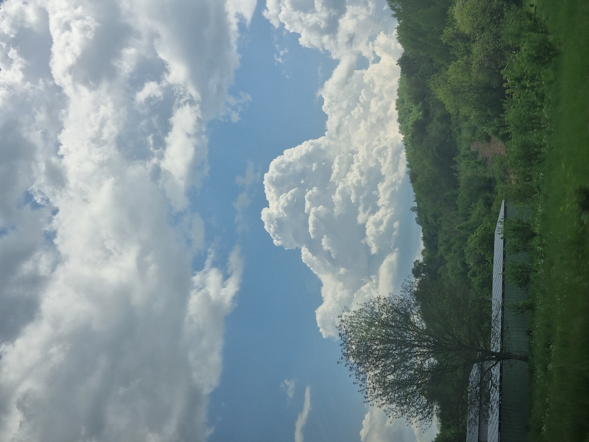 The image depicts a daytime scene in Malka Zhelyazna, Bulgaria, notable for its atmospheric conditions. A large cumulus cloud formation dominates the right side of the sky, transitioning into a blue sky expanse towards the bottom center. To the left, a cluster of gray, darker clouds is visible. The right edge of the image features a green treeline and meadow. A tree is in the bottom center, its branches outlined against the sky. Below the tree is a long metal structure.