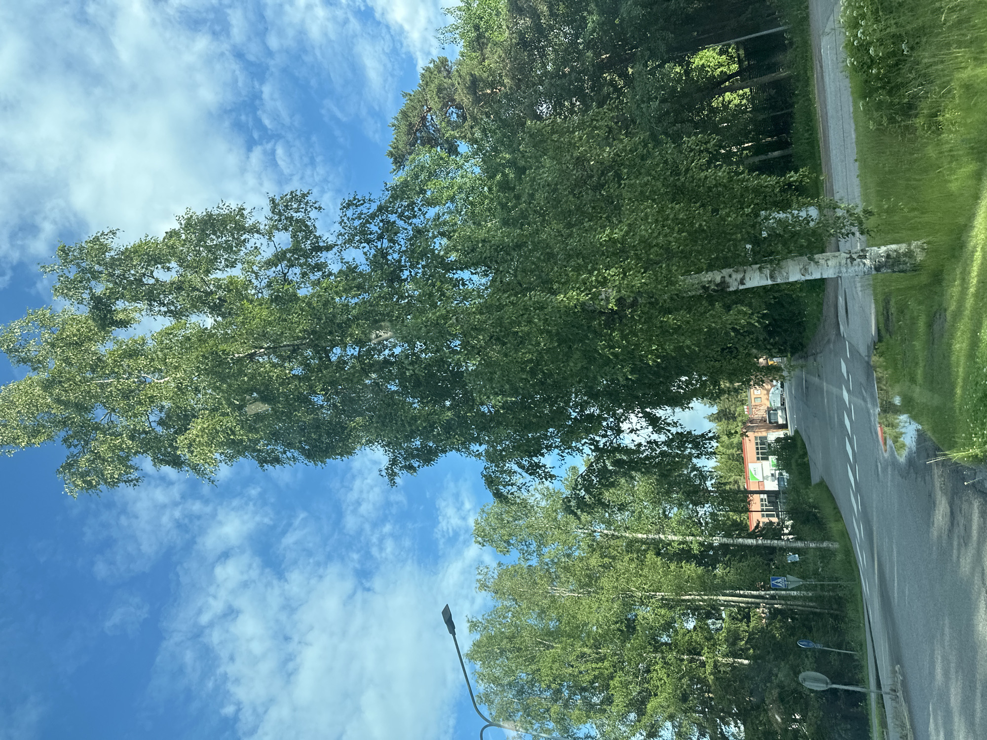 This media file shows a road curving through a wooded area with birch trees and other foliage. The sky is blue with scattered white clouds, suggesting a clear, possibly sunny day. The sun appears to be high in the sky, indicating daytime. On the right side of the road, there is a grassy verge and more trees. The road has white markings and a pedestrian crossing. In the background, there are buildings with red roofs. A street light is visible on the left side of the road, and several road signs are present. The image is oriented vertically, with the sky at the top and the road extending downwards. There is no visible text in the image.