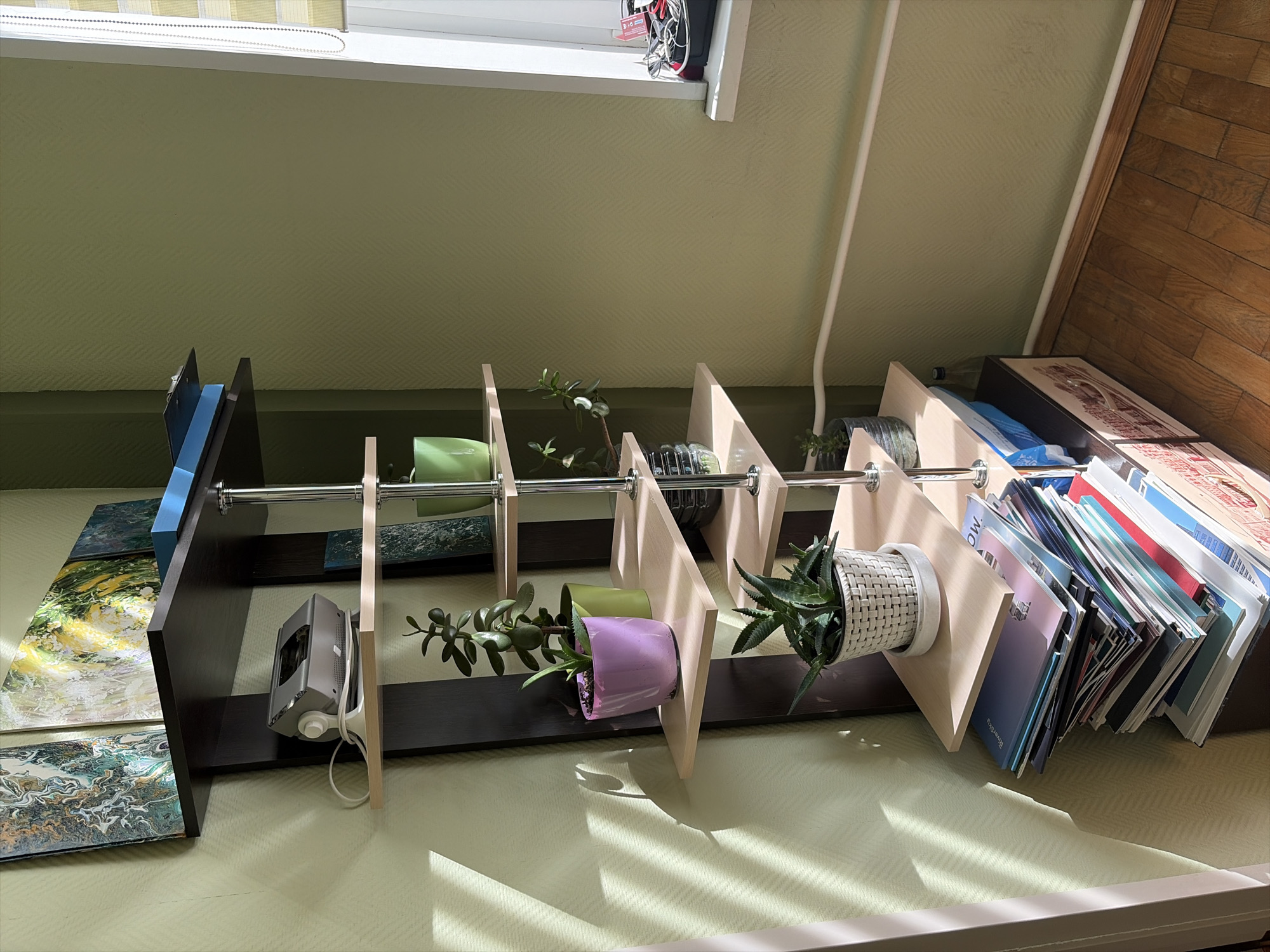 The image shows a tall, narrow, multi-tiered shelf unit against a light green, textured wall. The shelf unit has a dark brown frame with light wood-colored shelves supported by chrome poles. On the shelves, there are several potted plants, including succulents and a jade plant, as well as some decorative items, a small electronic device, and a stack of books or magazines at the bottom. The lighting suggests it is daytime, with sunlight casting shadows on the wall. A window with blinds is visible on the right side of the image. The floor is made of wooden planks. There are no people or animals visible in the image. The scene appears to be an indoor setting, possibly a living room or study, in an apartment in Moscow, Russia.