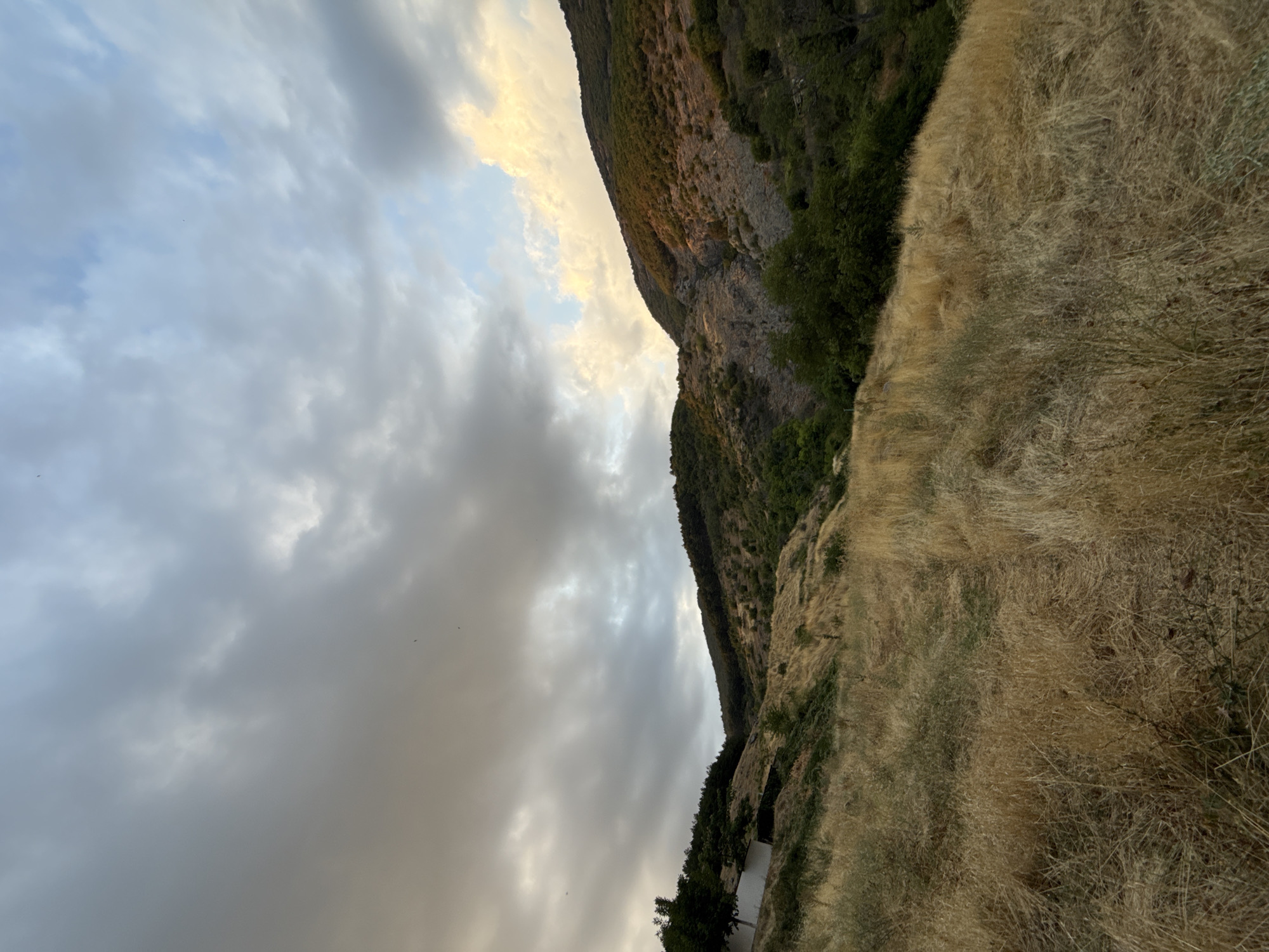 The image depicts a natural landscape with rolling hills under a cloudy sky. In the foreground, dry, golden grass covers a sloping terrain, with some patches of green vegetation interspersed. A faint path winds through the grass. Further up the slope, a white building with a dark roof is partially visible on the left, bordered by trees.
The hills in the background are covered with dense green trees and shrubbery. A rocky, lighter-colored section is visible on the right side of the hill. The sky above is dramatic, with a mix of dark gray, dense clouds and patches of lighter, illuminated sky, suggesting either sunrise or sunset. A few small, dark specks, possibly birds, are visible in the sky. The overall impression is a somewhat wild, untamed natural environment. There are no people or animals clearly visible. The location is described as the city of Sopot, Bulgaria.