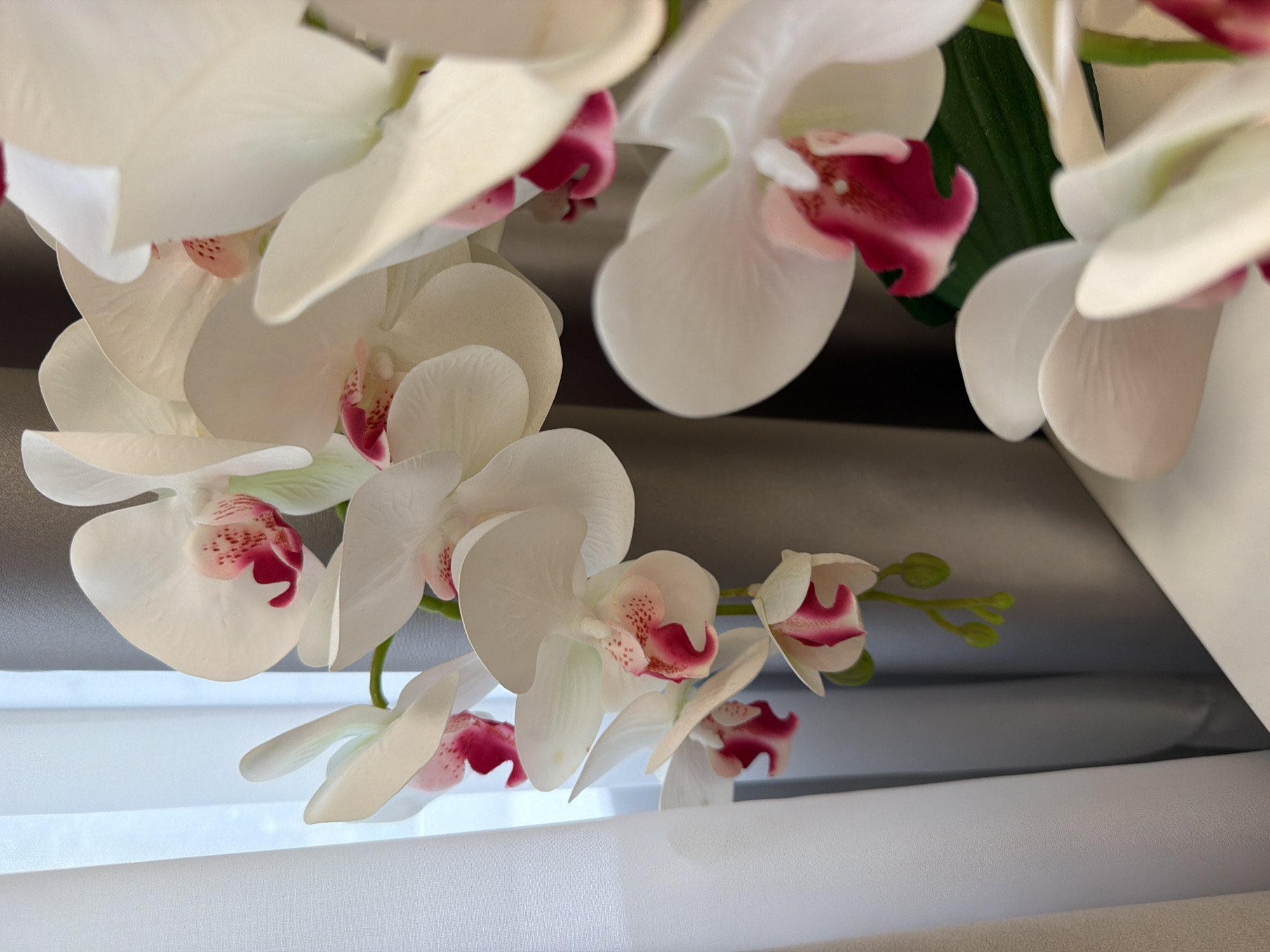 This is a close-up, eye-level, indoor photograph of several artificial white orchids with fuchsia centers. The flowers are arranged in a cluster, with some in focus and others blurred. The background consists of sheer white curtains on the left and gray drapery on the right. A white surface, likely a table or shelf, is visible at the bottom of the frame. There are no people present in the image. The image does not contain any information to suggest a location in the city of Kazan, Russia.