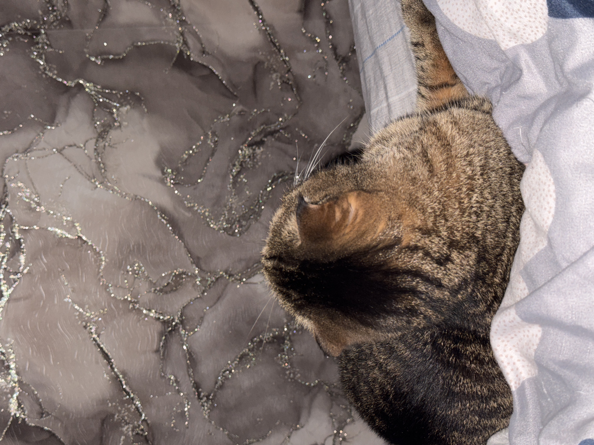 The image shows a tabby cat lying on a bed. The cat is partially under a gray and white patterned blanket, with its head and one ear visible. The blanket is crumpled around the cat. Part of a gray and silver patterned throw is also visible on the bed. The location is not identifiable from the image.