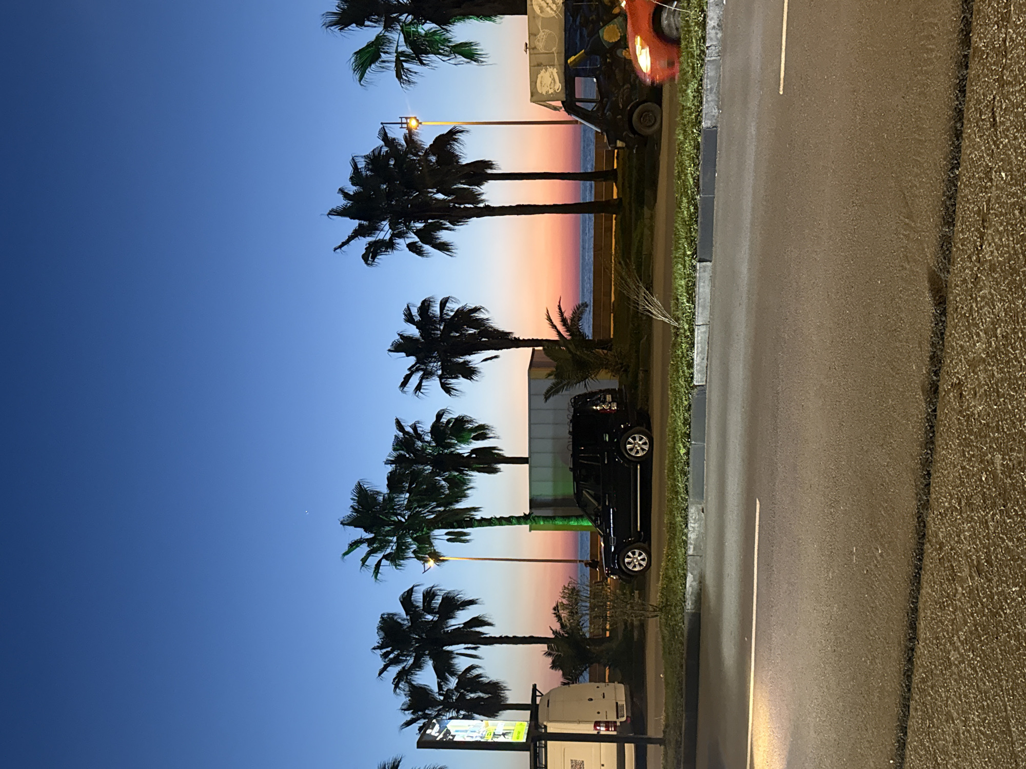 The image captures a street scene in Batumi, Georgia at dusk or dawn. Palm trees line the roadside, silhouetted against a sky transitioning from blue to shades of orange and pink near the horizon. Several vehicles are parked along the street. A lit streetlight illuminates a section of the scene. The foreground shows a road surface and a rough textured area to its right. A signpost is visible in the bottom left. The sea is seen in the background in-between the palm trees.