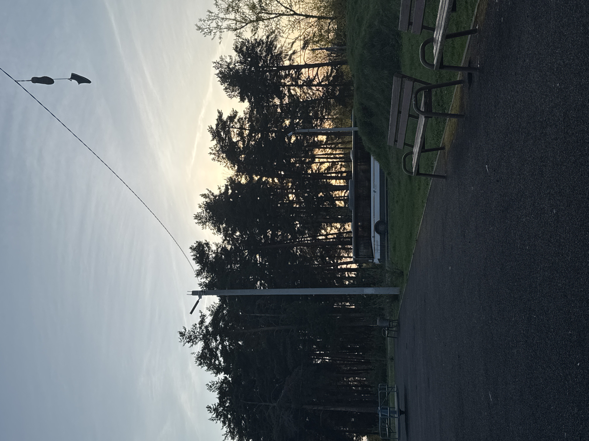 The image shows a street in Раздолье, Russia. Two shoes are hanging from a power line. A row of pine trees is behind a bus. Two park benches are along a paved path.