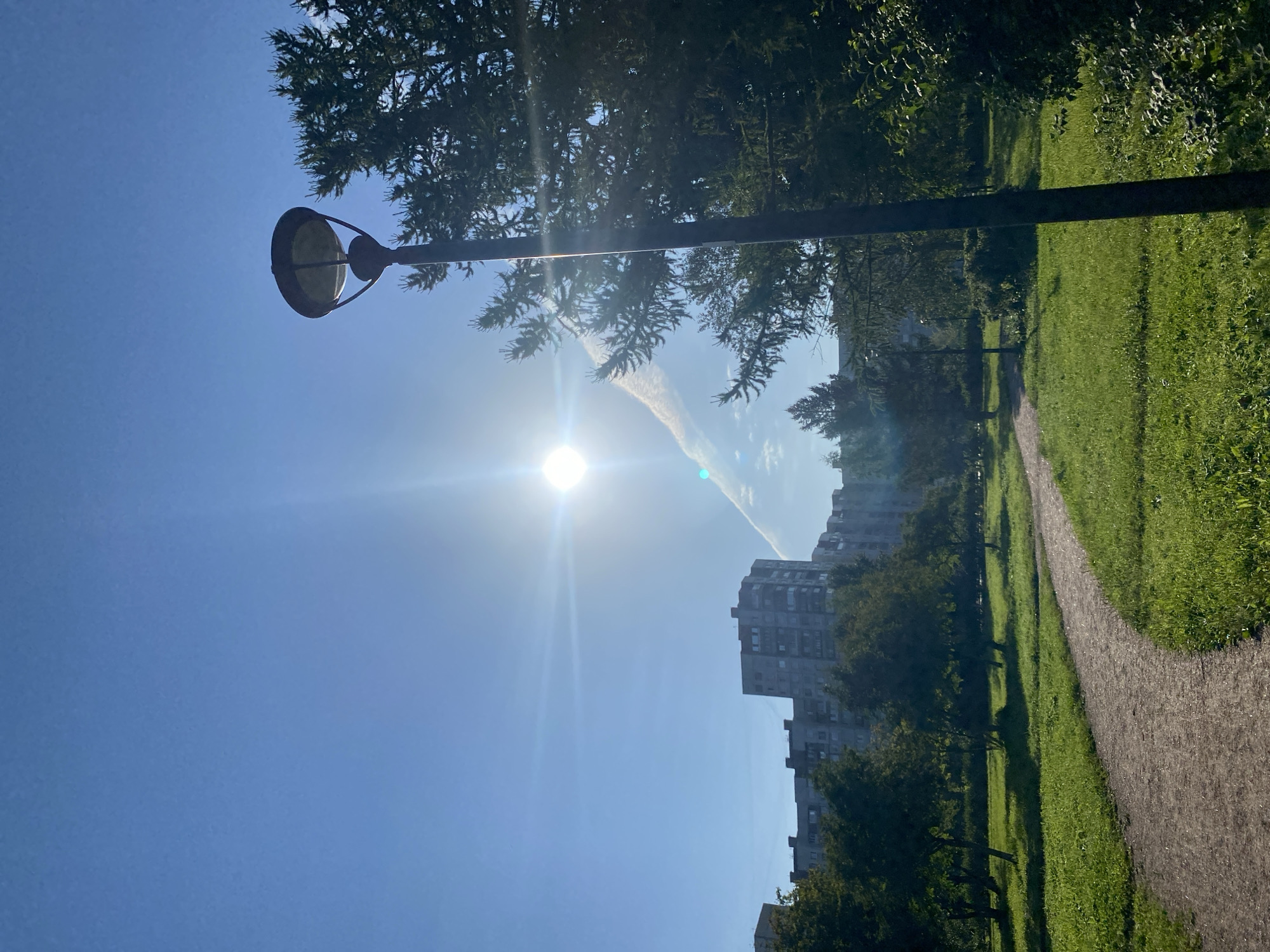 The image depicts a sunny day in a city park in Saint Petersburg, Russia. In the foreground, a path curves through a well-maintained grassy area. A tall lamppost stands on the right side of the frame, partially obscuring a dense evergreen tree. In the background, several apartment buildings are visible, characteristic of Soviet-era architecture, with a clear blue sky overhead. The sun is bright and positioned in the upper left quadrant of the image, casting lens flares and a faint contrail across the sky. No people are present in the scene.