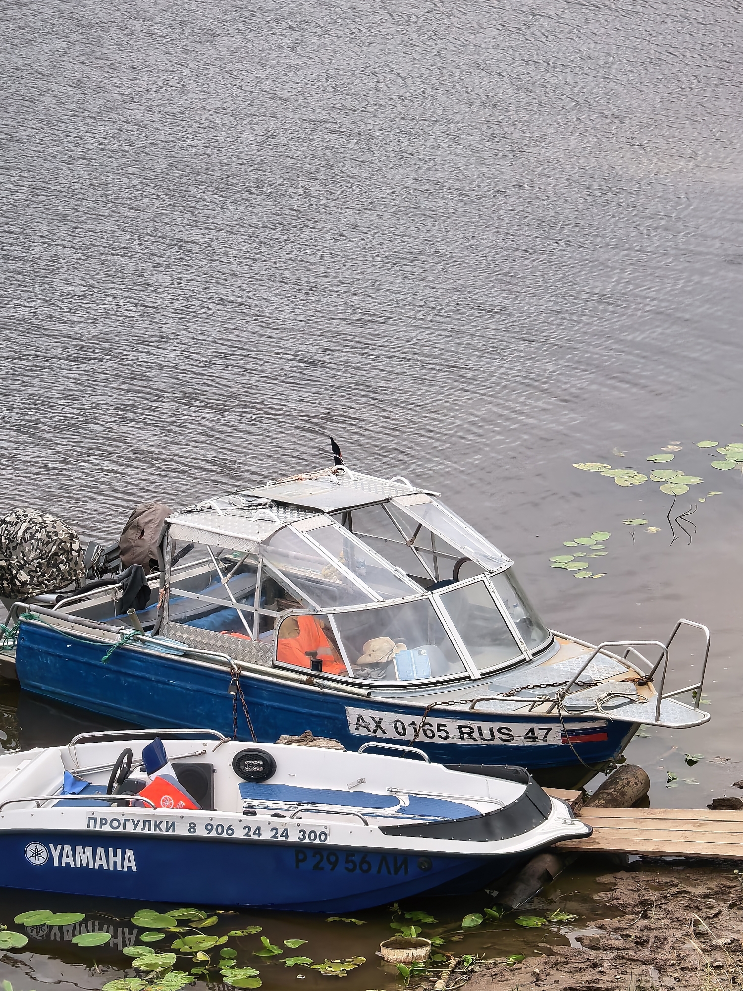 The image shows two boats docked on the Volkhov River in Staraya Ladoga, Russia. The larger boat, a blue motorboat with a covered cabin, is in the background. It has the registration number "AX 0165 RUS 47" on its side. Inside the cabin, an orange life vest is visible. The smaller boat, a white and blue Yamaha motorboat, is in the foreground. It displays the "YAMAHA" logo and has Cyrillic text on its side that translates to "PROGUPLKI 8 906 24 24 300". Both boats are moored to a wooden pier, with lily pads visible on the surface of the river. The riverbank is muddy. The sky is overcast.