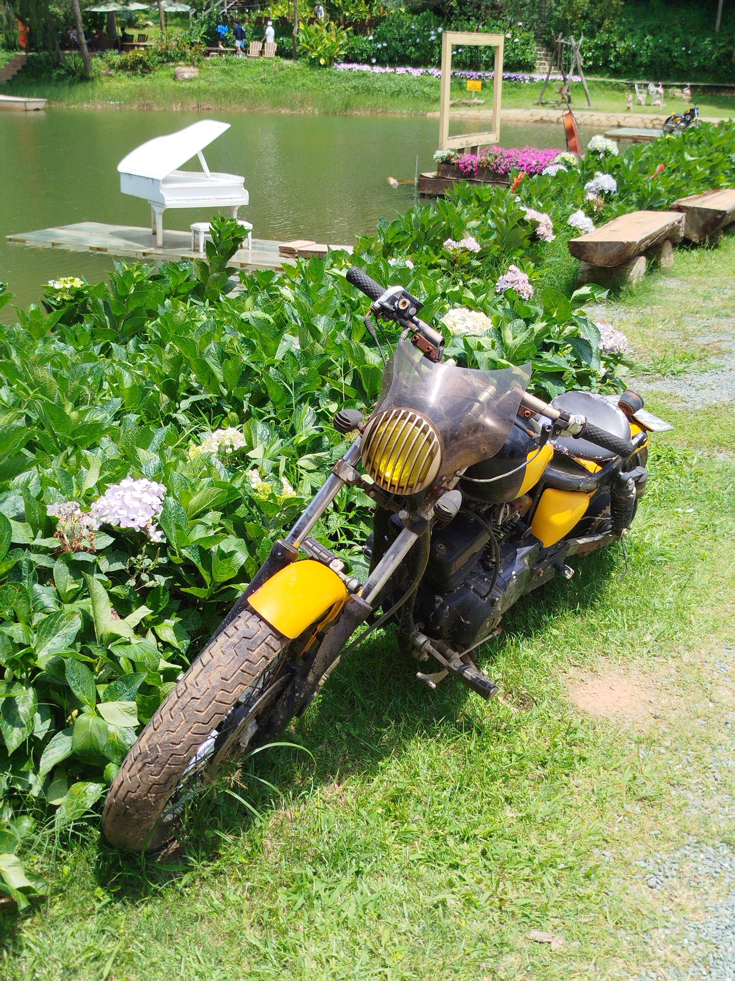The image depicts a motorcycle parked on the grass next to a lush green garden and a tranquil lake. In the foreground, a yellow and black motorcycle is positioned diagonally, with its front wheel facing left. The motorcycle has a clear windshield with a yellow-grated headlight. Behind the motorcycle, a dense thicket of green hydrangeas with hints of pink and white blooms fills the middle ground.
Across the water, a white grand piano rests on a wooden platform, appearing to float on the lake. Further back, the landscape transitions into a garden with more hydrangeas, wooden benches, and some trees. The background features a vibrant green backdrop of trees and vegetation, suggesting a natural or park-like setting. The overall scene is set during daylight with clear, bright lighting. The context of Cam Ly - Da Lat, Vietnam, implies this scene is likely located in a scenic tourist area known for its gardens and natural beauty.