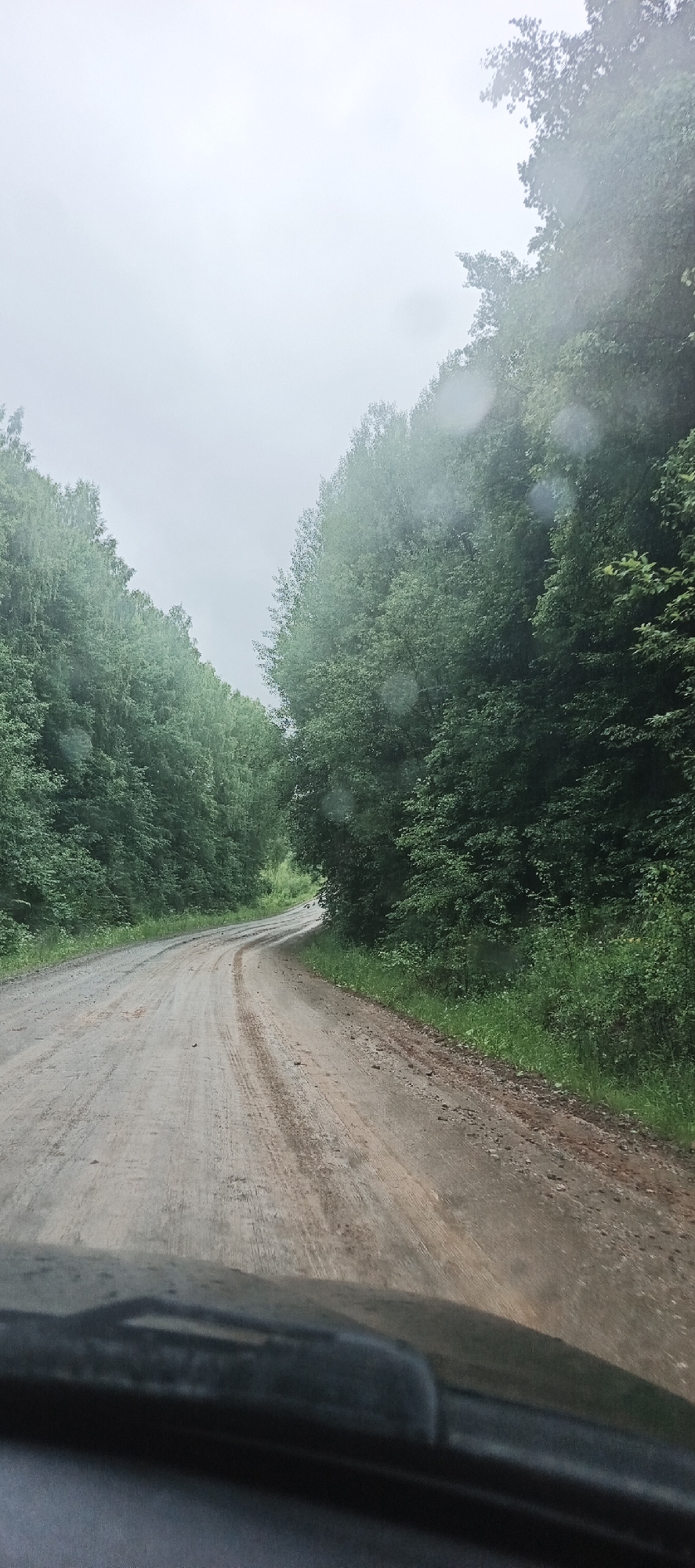 The image depicts a view from a vehicle driving on a wet, dirt road that curves to the left through a dense forest. The sky is overcast and appears to be raining or has recently rained, as indicated by water droplets visible on the windshield in the foreground. The road is muddy with visible tire tracks. The forest on both sides of the road is lush and green, with tall trees and undergrowth. The scene suggests a rural or natural setting.