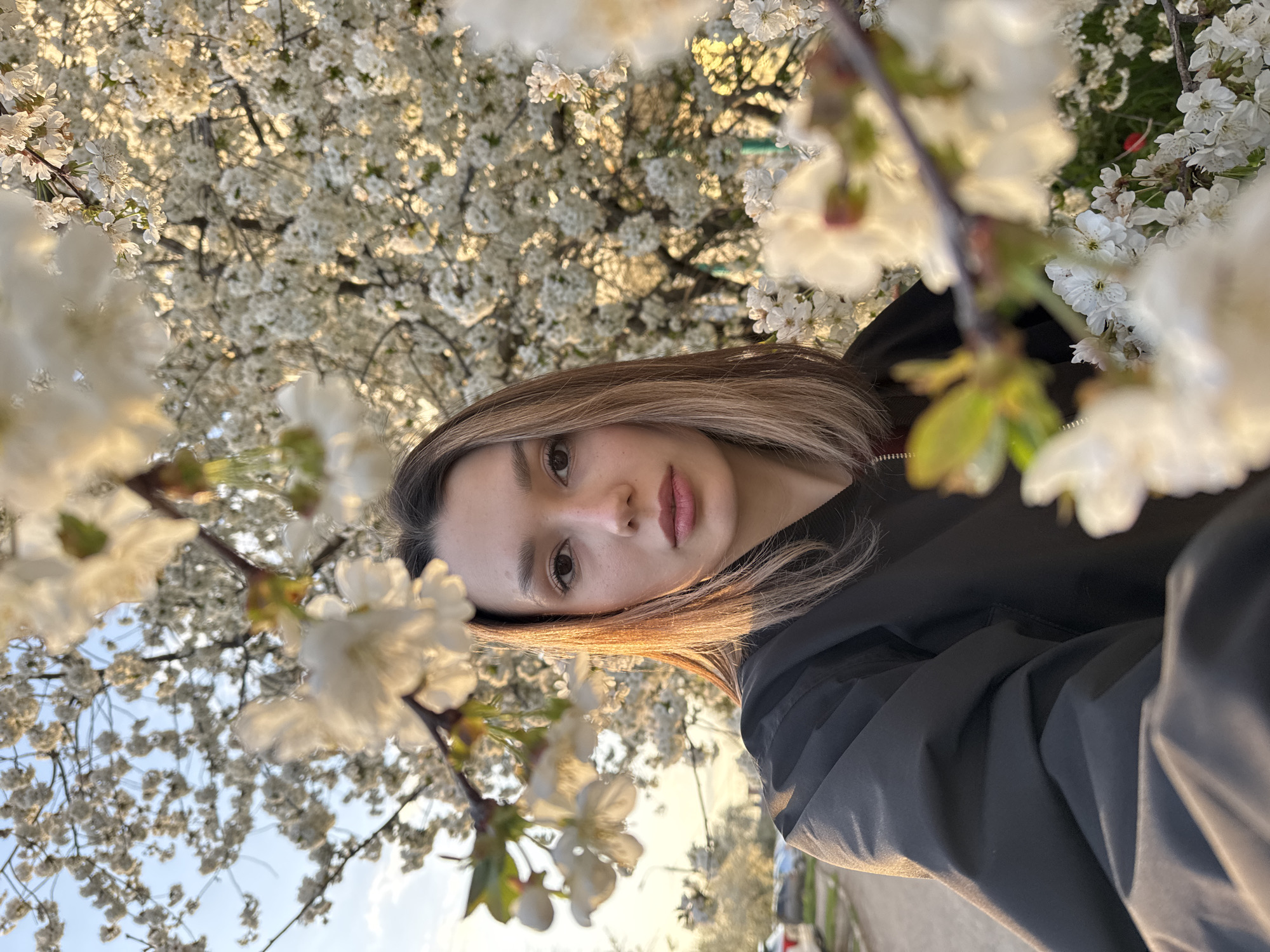 A close-up portrait shows a young woman framed by an abundance of white blossoms. She has light brown hair with lighter highlights, falling loosely around her face, and is looking directly at the camera with a neutral expression. She wears a dark jacket, possibly black.
The setting is outdoors, likely during spring, indicated by the profusion of white flowers, which are in various stages of focus, some sharply detailed in the foreground and mid-ground, and others softly blurred in the background. The lighting suggests late afternoon or early evening (golden hour), with warm sunlight illuminating her hair and parts of the flowers. The sky, visible in glimpses through the branches, is clear and light blue. The scene creates a serene and natural atmosphere. There is no visible text.