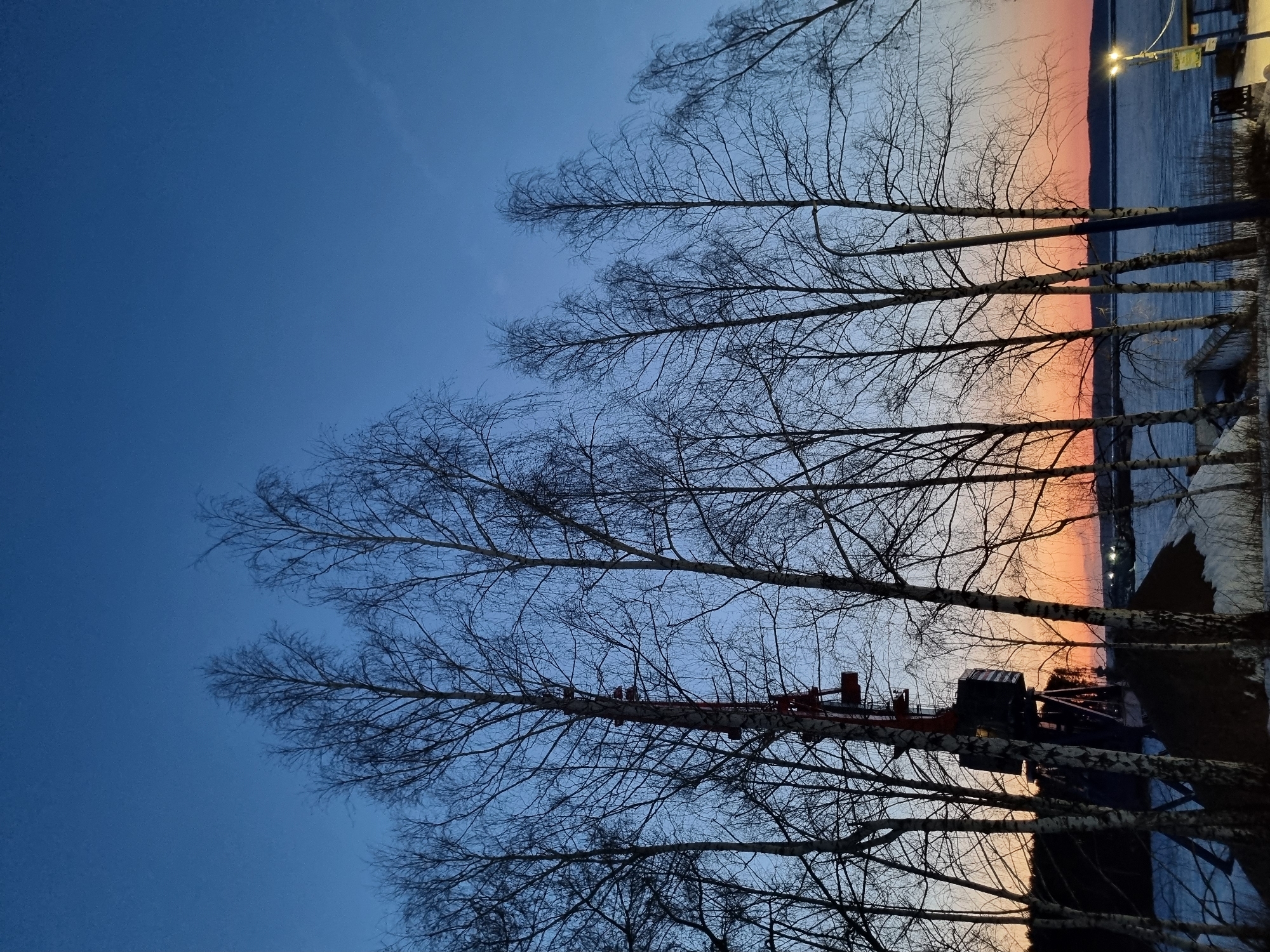 The image shows a row of bare birch trees silhouetted against a sky transitioning from deep blue to a pale orange sunset. Beyond the trees is a body of water, likely a river or lake, reflecting the sunset colors. On the right side of the frame, there is a street lamp, some buildings, and patches of snow. In the foreground, obscured by the trees, a crane is visible. This image was taken in the city of Chaikovsky, Russia.