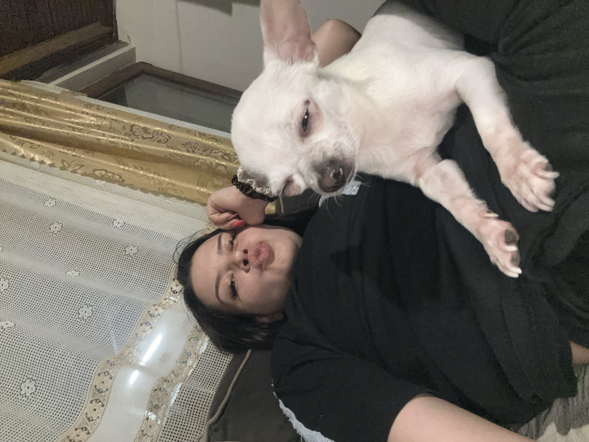 A woman with dark hair is lying on a bed with a white dog on her chest. The woman is wearing a black shirt and has pink nail polish on her left hand. The dog is mostly white, with a black nose, and has one ear standing up. The background shows a window with golden and white patterned curtains. The location is potentially Chubra, Bulgaria.