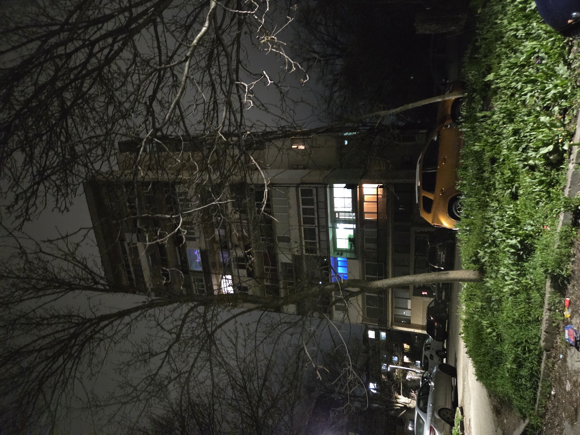 The image, taken at night, shows a building in Pleven, Bulgaria. A tall, multi-story residential building is the focal point, illuminated by various lights in the apartments. In the foreground are bare tree branches, obscuring parts of the building. To the right, a line of parked cars is visible, including a yellow/orange one. A strip of greenery lines the sidewalk next to the cars. The scene appears to be a street in a residential area of Pleven.