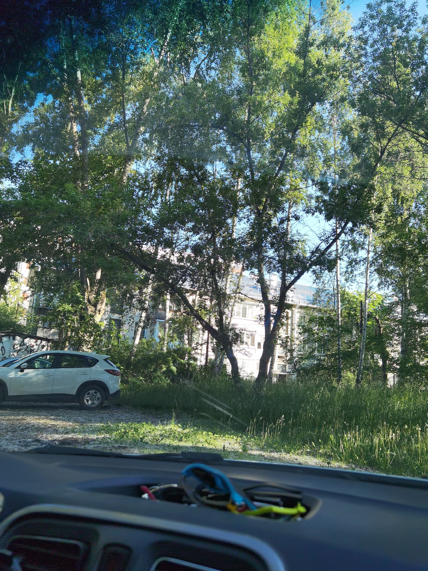 The image depicts an outdoor scene, likely in a residential area of Chaikovsky, Russia. In the foreground, the dashboard of a vehicle is visible, with a pair of sunglasses and some cables resting on it. The middle ground features a white SUV parked on a gravel surface, bordered by tall green grass and mature trees. Beyond the trees, a multi-story residential building with a light-colored facade and windows is partially visible. The overall environment suggests a daytime setting with sunlight filtering through the foliage, casting shadows on the ground.