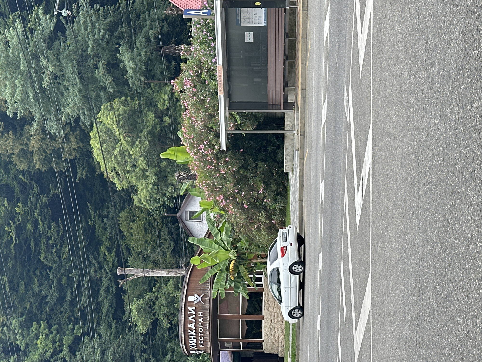 The image depicts a roadside scene in Sochi, Russia. On the left, a circular building with a stone base and wooden facade houses a restaurant called "ХИНКАЛИ РЕСТОРАН" (Khinkali Restaurant), identifiable by its sign. Large windows reveal the interior. Adjacent to the restaurant are lush green banana plants. In the center of the frame, a white sedan is parked parallel to the road. To the right, a bus stop shelter with a brown wooden bench is visible. Pink flowers bloom behind the bus stop, and a sign with the letter "A" and Cyrillic text is mounted on a pole. The background is dominated by a dense forest, suggesting a location at the edge of a wooded area or on a road passing through a more natural landscape. Overhead power lines crisscross the scene, supported by poles, one of which is a weathered, partially broken wooden post. The road in the foreground has clear white lane markings. The overall atmosphere is that of a slightly overcast day in a semi-urban, semi-natural setting.