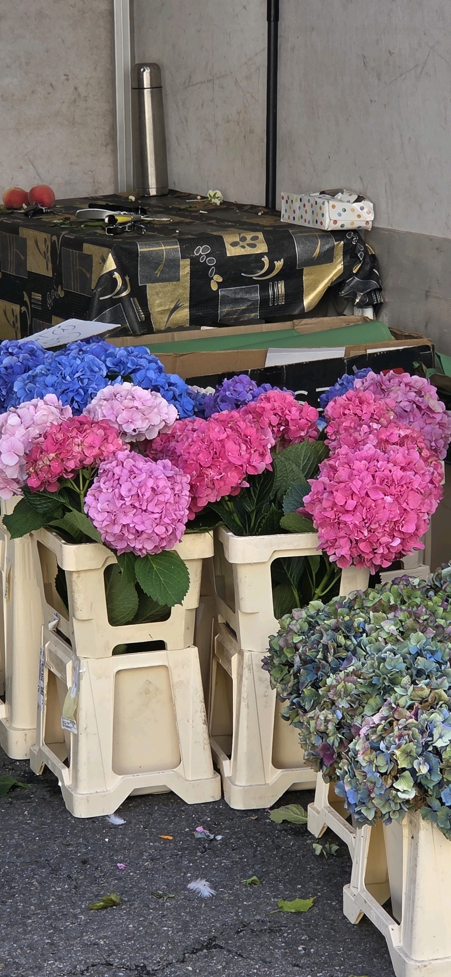 In Strasbourg, France, a display of hydrangeas is set up outdoors. In the foreground, several plastic crates hold bunches of vibrant hydrangeas in shades of pink, blue, and purple. A crate of blue and purple hydrangeas is stacked behind a crate of pink and light pink hydrangeas. To the right, a crate of muted green and blue hydrangeas is positioned. On the ground around the crates, scattered green leaves, small pink and purple petals, and white feathers are visible. In the background, a table is covered with a patterned tablecloth featuring gold and black geometric designs. On the table sits a silver thermos, two red fruits that appear to be peaches, a set of keys, a knife, a small white flower, and a small box with colorful polka dots. A textured, light-colored wall forms the backdrop. The scene appears to be at a market or roadside stand.