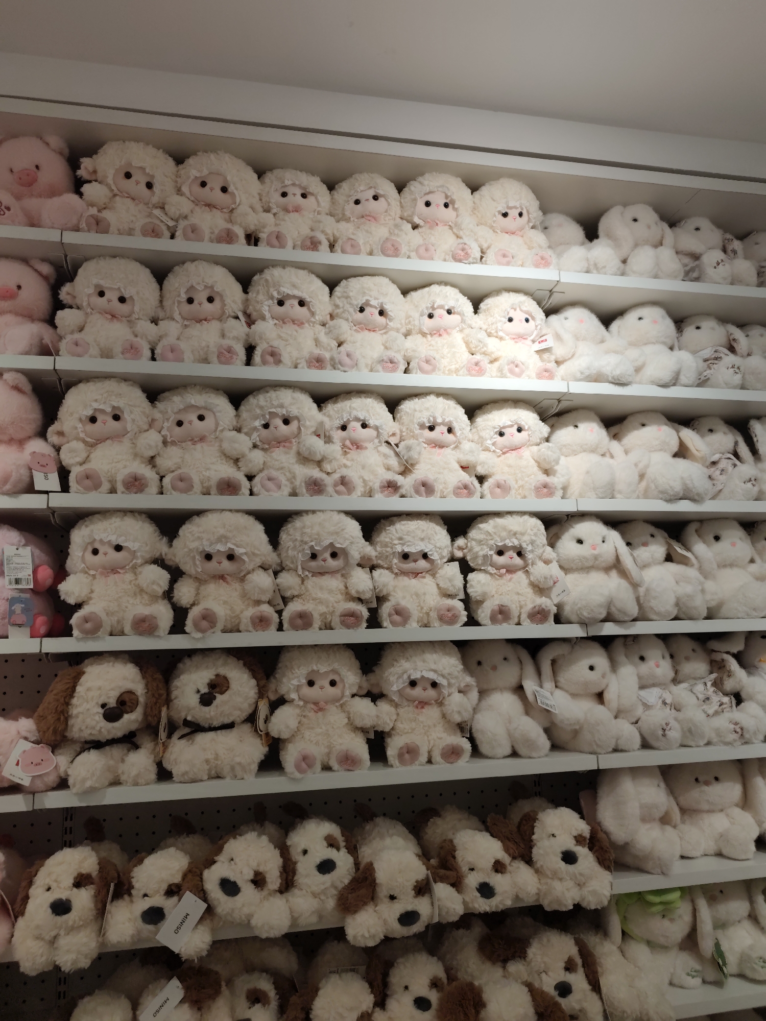 The image shows shelves filled with plush toys in a retail setting, likely a toy store, in Daqing, China. The toys are predominantly white and fluffy, with a variety of designs including sheep, dogs, and rabbits. Some of the toys are pink, such as a pig on the top shelf. The shelves are organized in rows, with multiple toys of the same kind placed next to each other. The lighting appears to be artificial, illuminating the products on display. The overall impression is of a well-stocked store showcasing a collection of soft toys.
