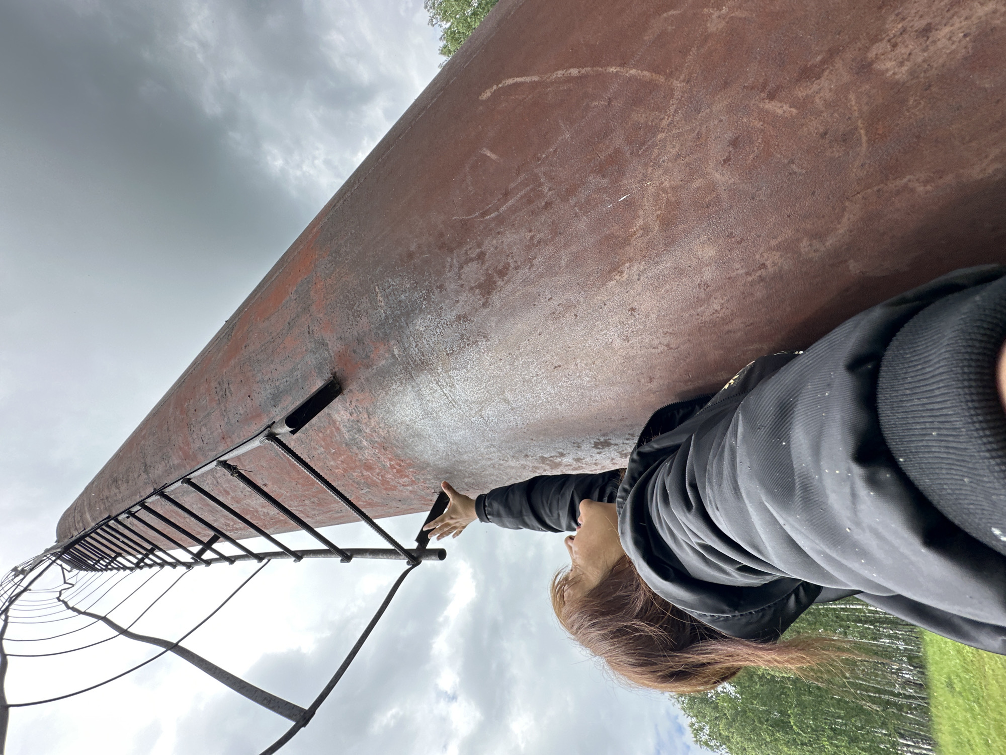 A low-angle, wide shot captures a person from the shoulders up, reaching towards a tall, rusty metal structure with a ladder attached. The person, wearing a black jacket with the hood up, has medium-length brown hair and is looking upwards. The metal structure appears to be a tower or smokestack, with a metal ladder ascending its side, partially obscured by a metal cage at the top. The background shows a cloudy, overcast sky and a dense line of green trees and a grassy slope. The overall scene is outdoors, with no visible urban infrastructure beyond the structure itself.