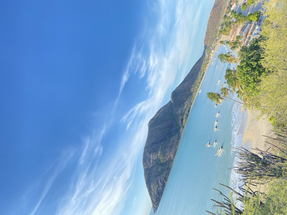 The image displays an elevated panoramic view of a coastal bay in Juan Griego, Venezuela. The upper two-thirds of the frame is dominated by a clear, vibrant blue sky featuring sparse, wispy white cirrus clouds. A large, verdant dark green and brown mountain, identified as El Morro, anchors the left side of the scene, its slopes descending into the tranquil, light blue-green bay. Approximately 10 to 12 small, light-colored fishing boats are moored or anchored in the shallow waters near a narrow, light-colored sandy beach. Small waves are observable breaking on the shore. Along the curve of the bay, a line of palm trees, some appearing wind-swept, borders the beach and a visible coastal road. Behind the road, a cluster of low-rise buildings with reddish roofs forms a small settlement, extending towards a smaller, reddish-brown hill on the far right horizon. The immediate foreground consists of dry, spiky cacti and low green shrubbery. No individuals are discernible within the frame.
