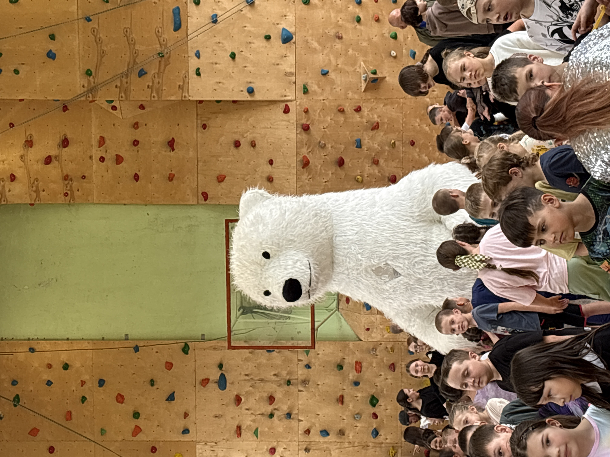 Here's a matter-of-fact description of the image:
The image shows a gathering of approximately 50 people, primarily children and adolescents, in what appears to be a gymnasium-like space. The background features a plywood climbing wall with brightly colored holds, and a section of green wall above it.
A large, plush polar bear toy is positioned prominently among the group. The people are crowded together, and it appears they are looking down or at something in front of them.
Given the details, I am unable to determine the location to be specifically Izhevsk, Russia. I lack the information to verify this detail.