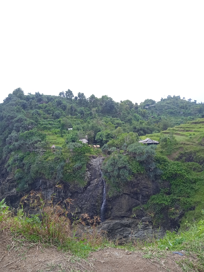 The image shows a small waterfall cascading down a rocky cliff in Girisubo, Indonesia (latitude: -8.185, longitude: 110.69). The cliff is covered in lush vegetation, including trees, shrubs, and grasses. The water flows from a small stream located in the upper part of the image, where there are several small, traditional houses. The scene is captured from a slightly elevated viewpoint, allowing for a wide view of the waterfall and surrounding vegetation. The sky is cloudy and the weather appears overcast.