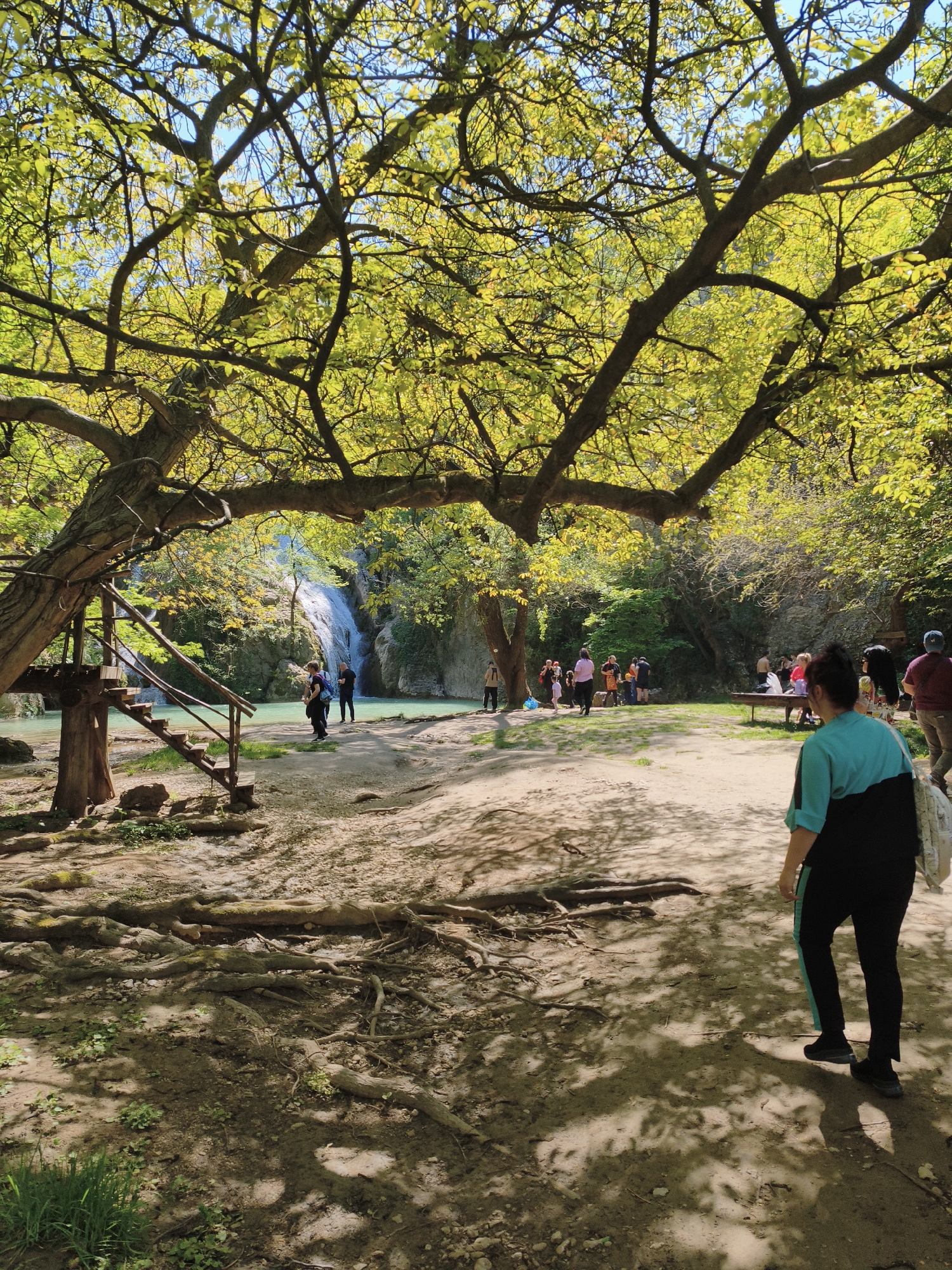 The image depicts a natural landscape near the village of Hotnitsa, Bulgaria, featuring a waterfall in the background. A large tree with green leaves and exposed roots dominates the foreground, casting shadows on the ground. To the left, there is a wooden platform with stairs. Several people are scattered around the area, some near the water and others gathered near a picnic table. In the foreground, a woman in a blue and black outfit walks away from the camera. The environment is sunny and forested.